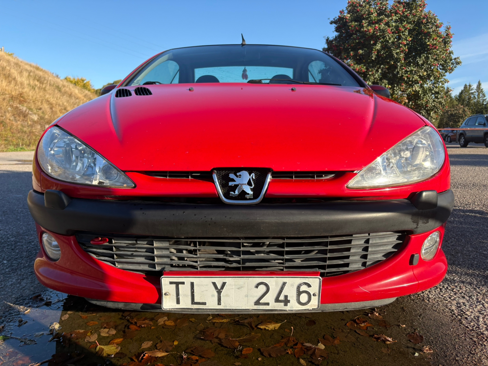 Peugeot 206 CC 1.6 Manuell 2002, kuva 5/10