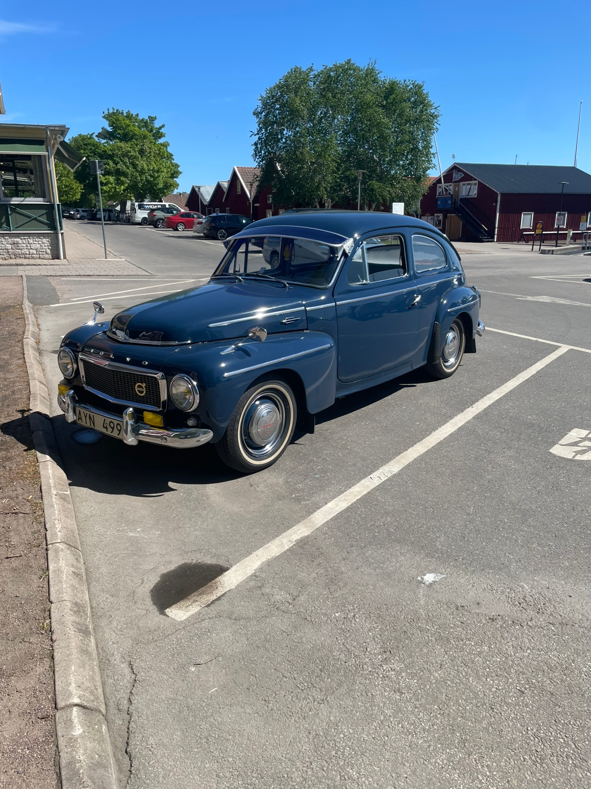 Volvo PV 544A 1.6 Manuell 1958, bild 4/4