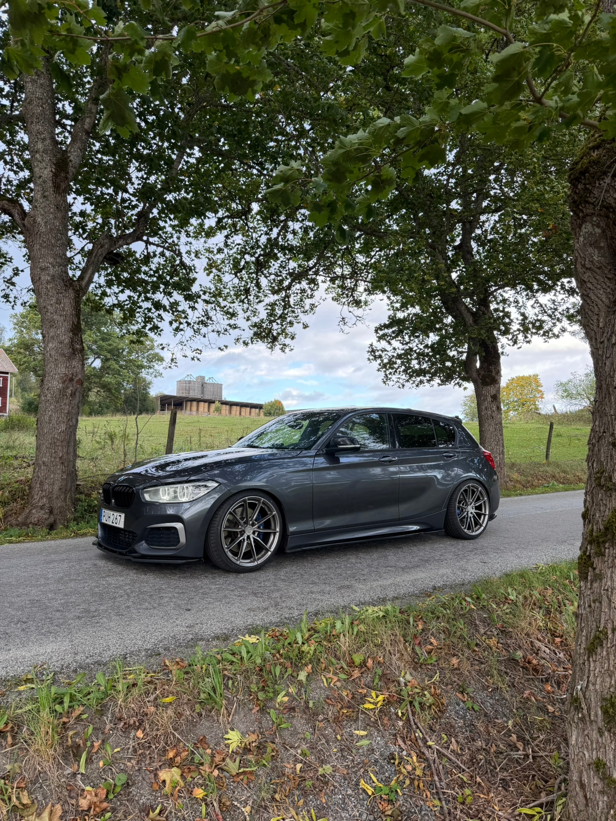 BMW M135i xDrive 5-dörrars Steptronic 2016, photo 4/10