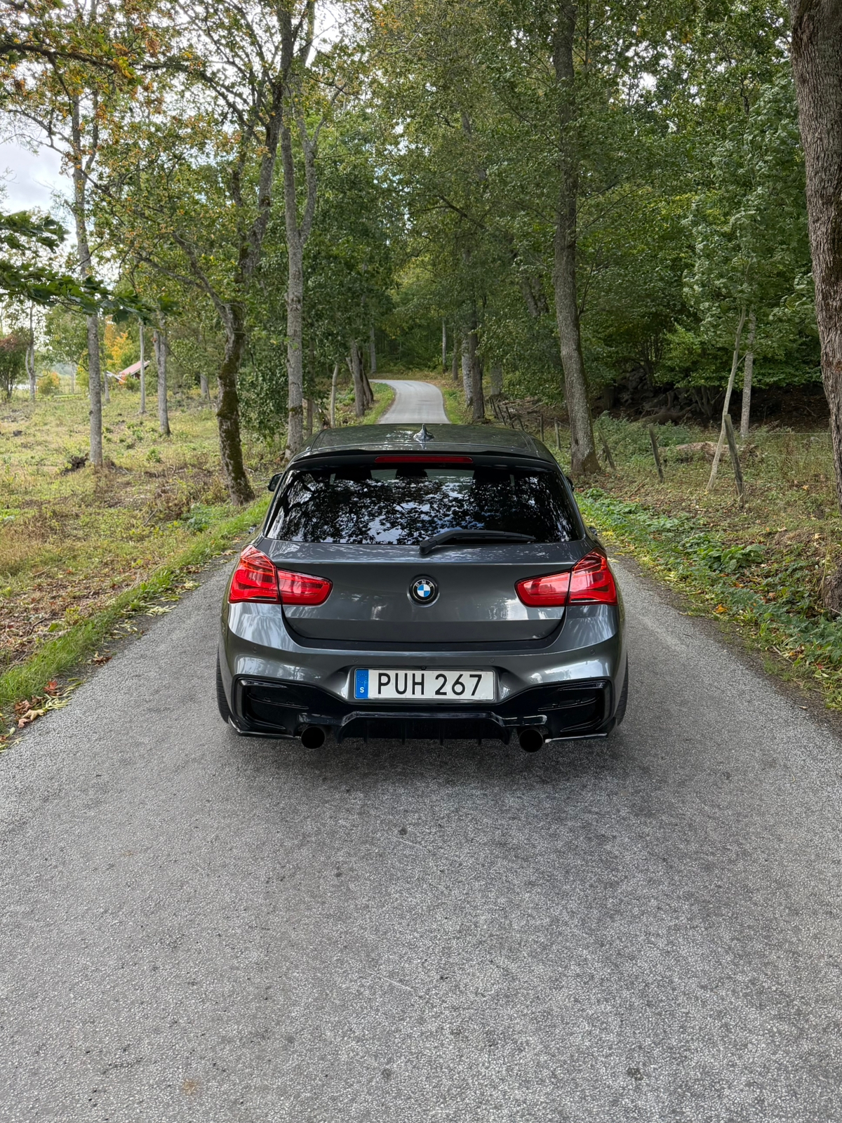 BMW M135i xDrive 5-dörrars Steptronic 2016, photo 6/10