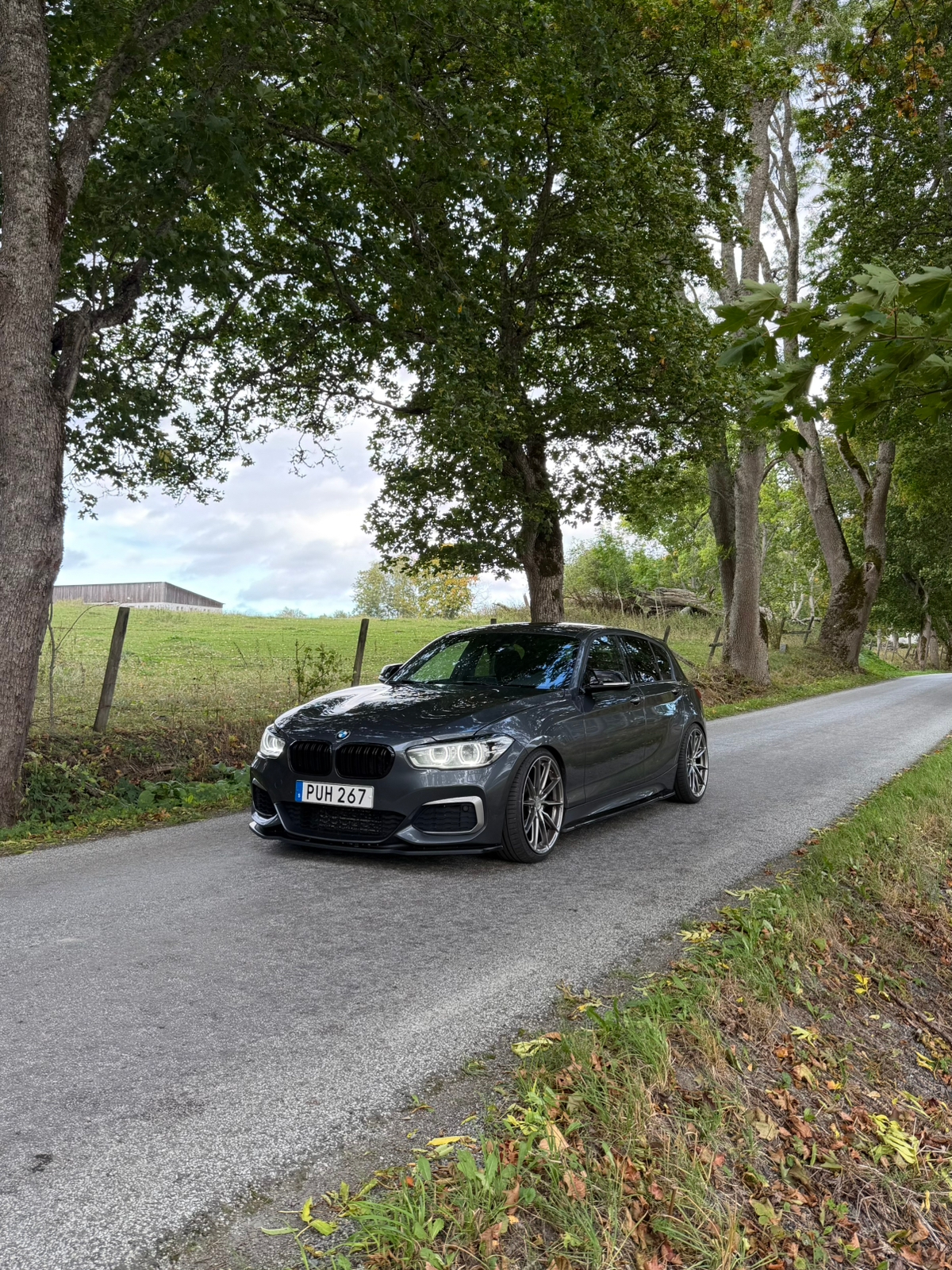 BMW M135i xDrive 5-dörrars Steptronic 2016, photo 3/10