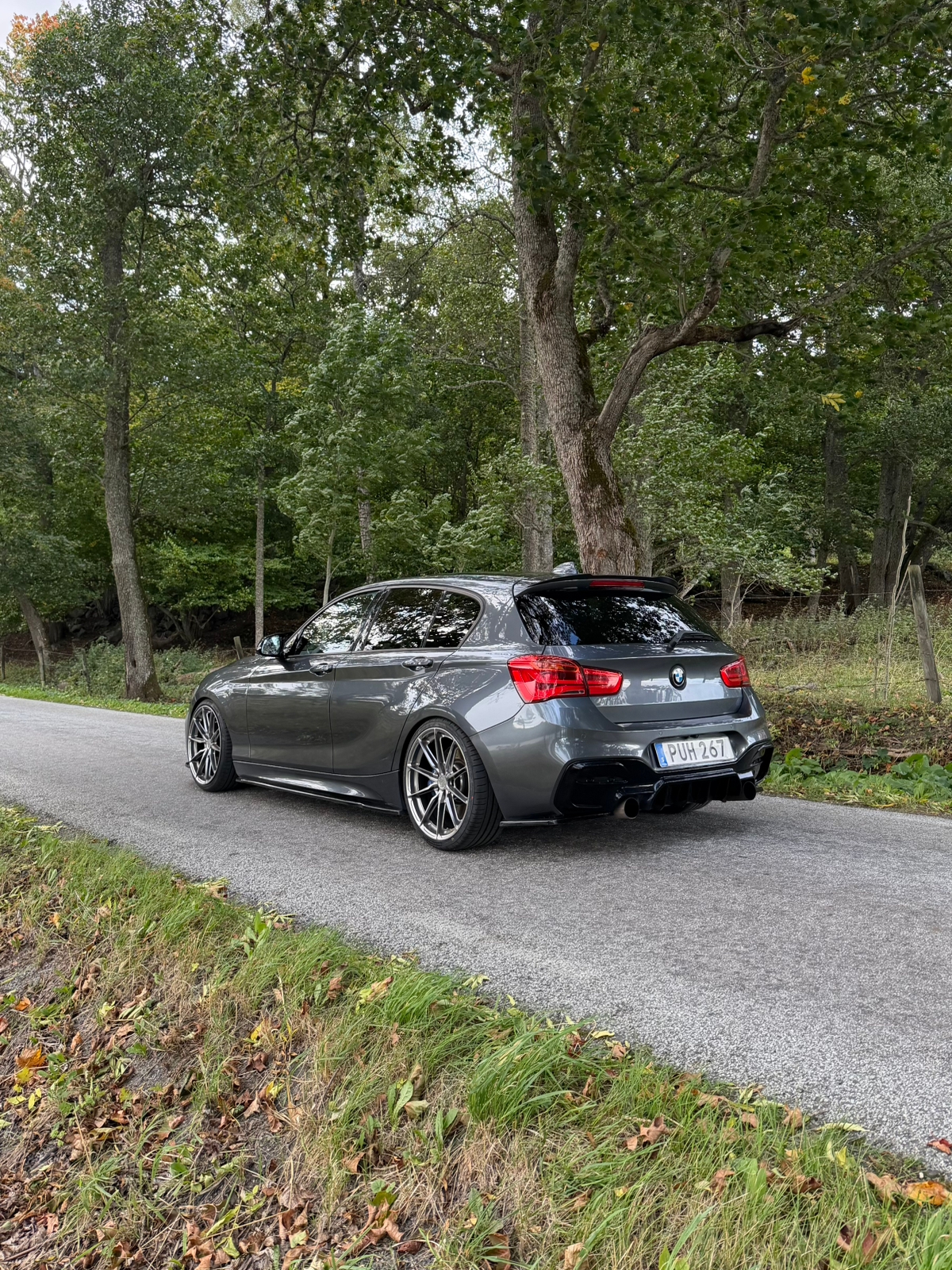 BMW M135i xDrive 5-dörrars Steptronic 2016, photo 5/10