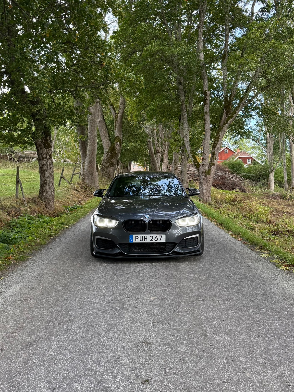 BMW M135i xDrive 5-dörrars Steptronic 2016, photo 2/10