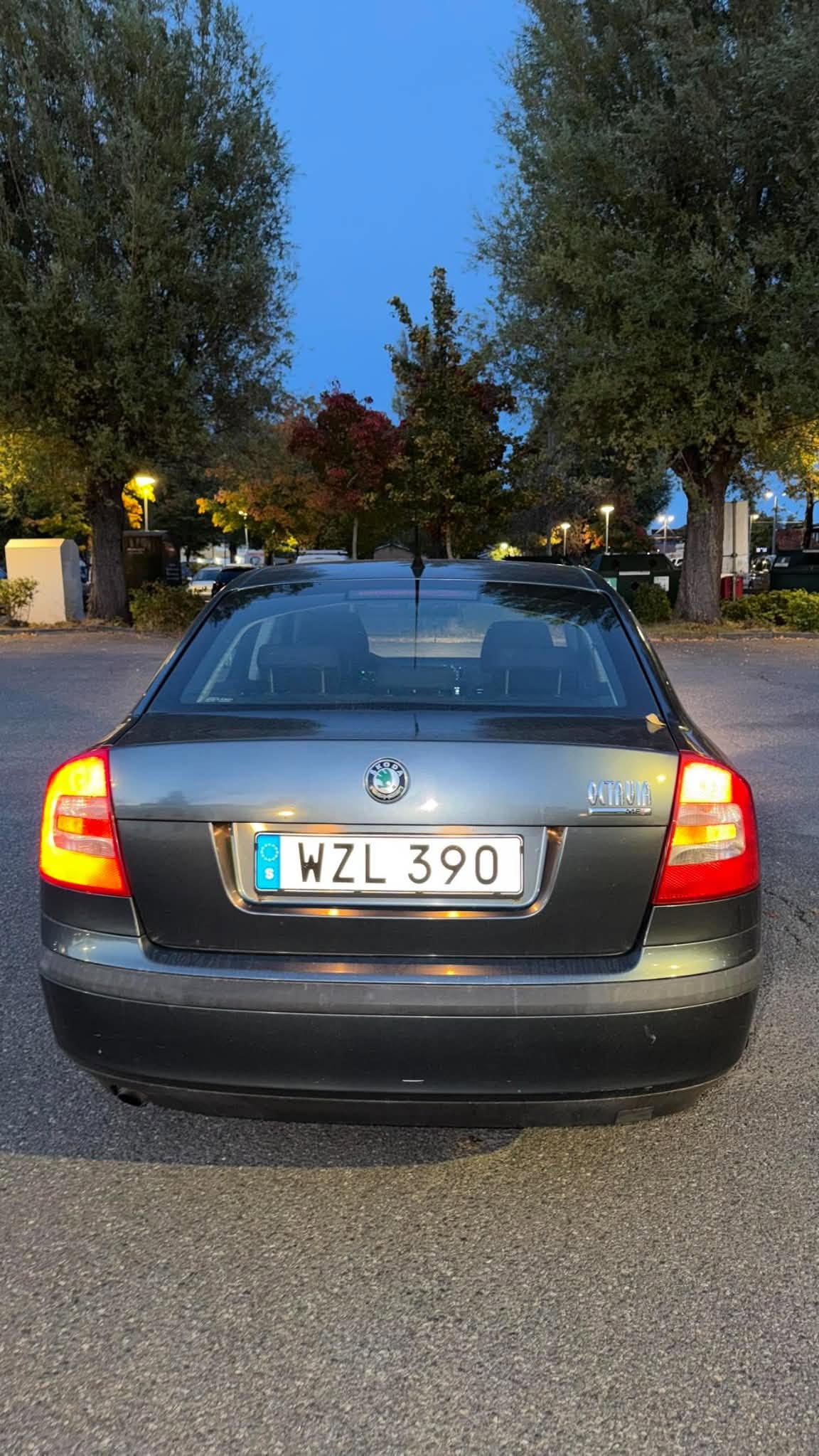 Skoda Octavia 1.6 MPI Manuell 2006, bild 4/6