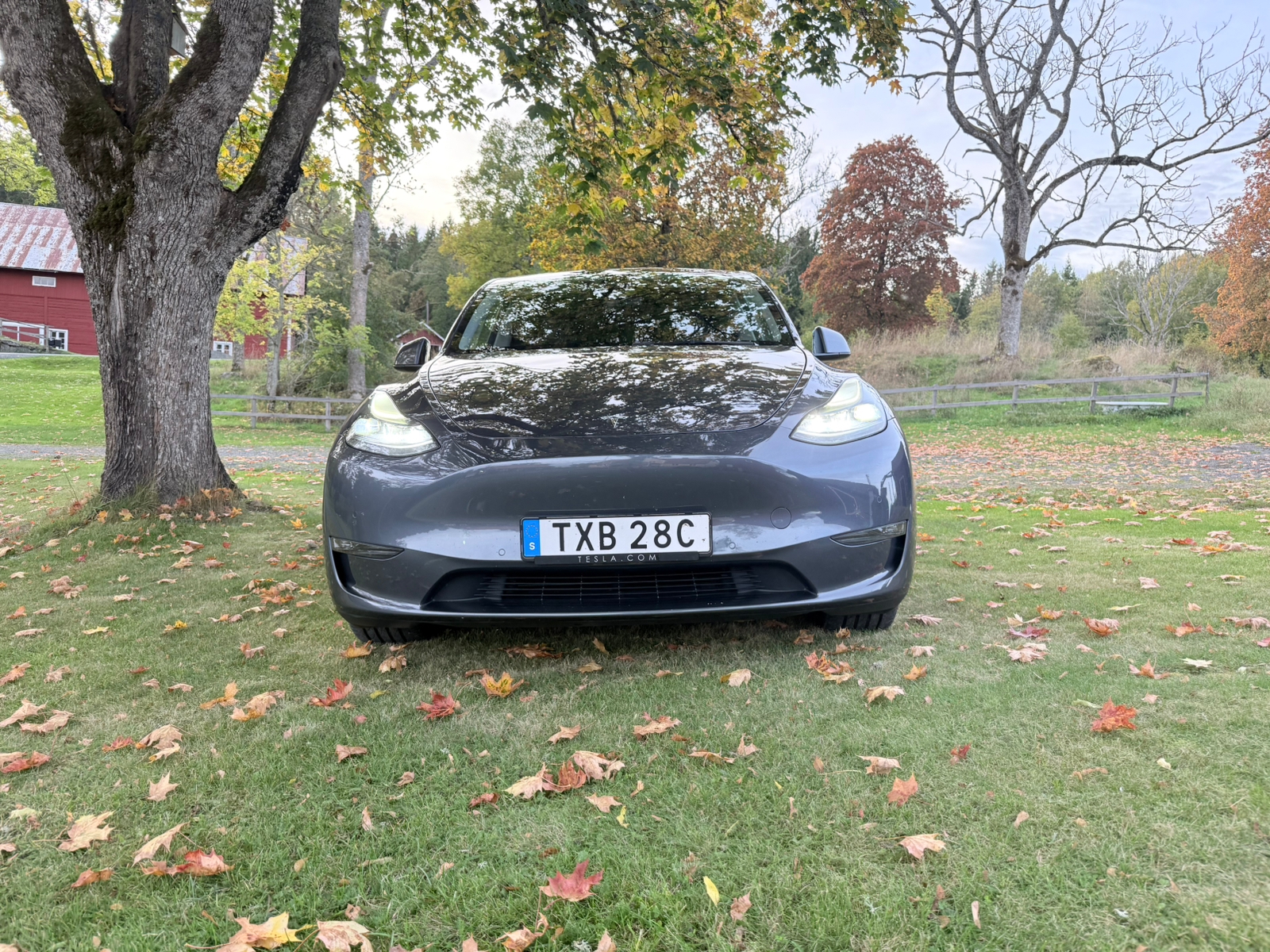 Tesla Model Y Long Range AWD 2021, bild 6/10