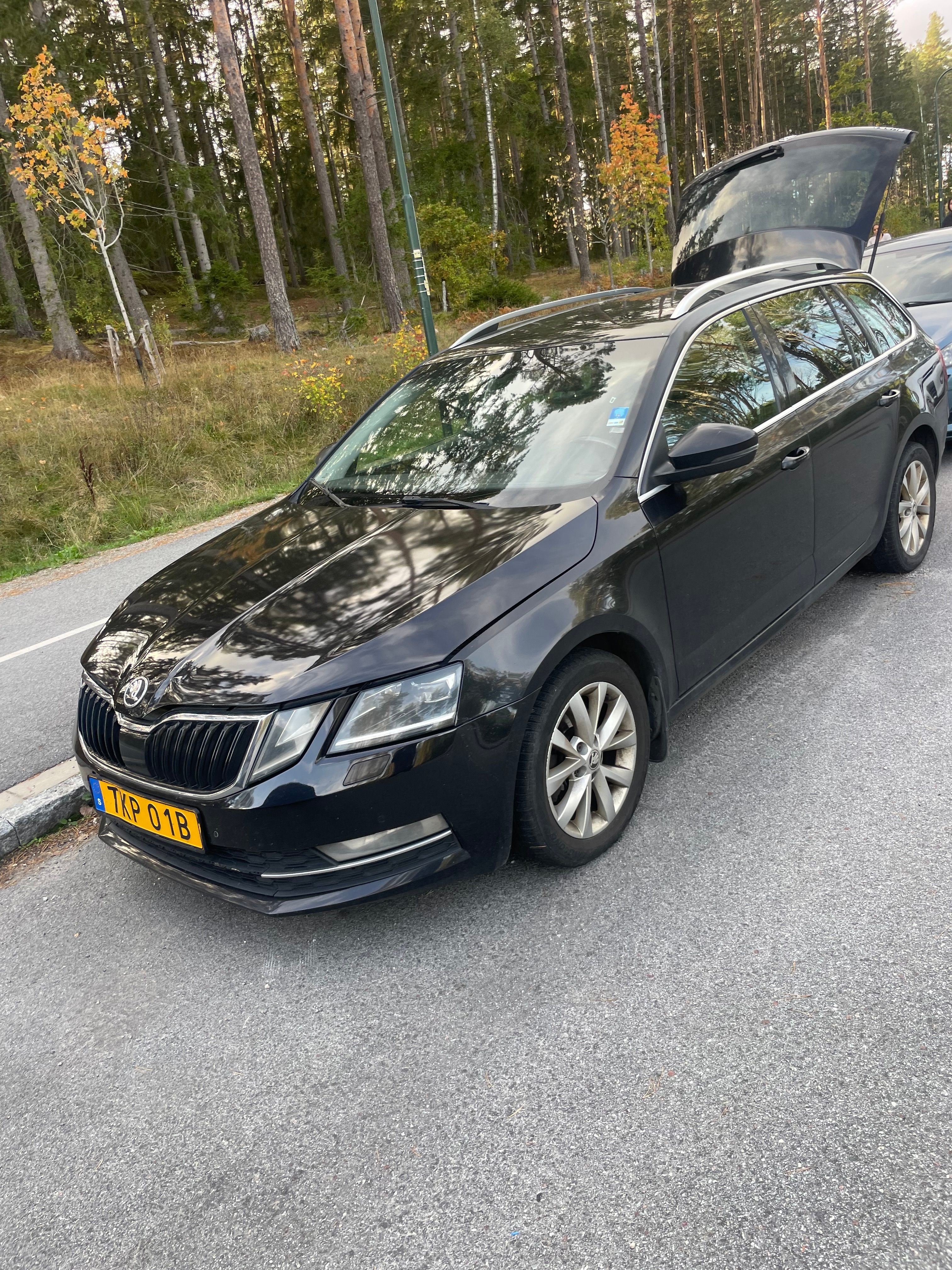 Skoda Octavia 2019, bild 2/9