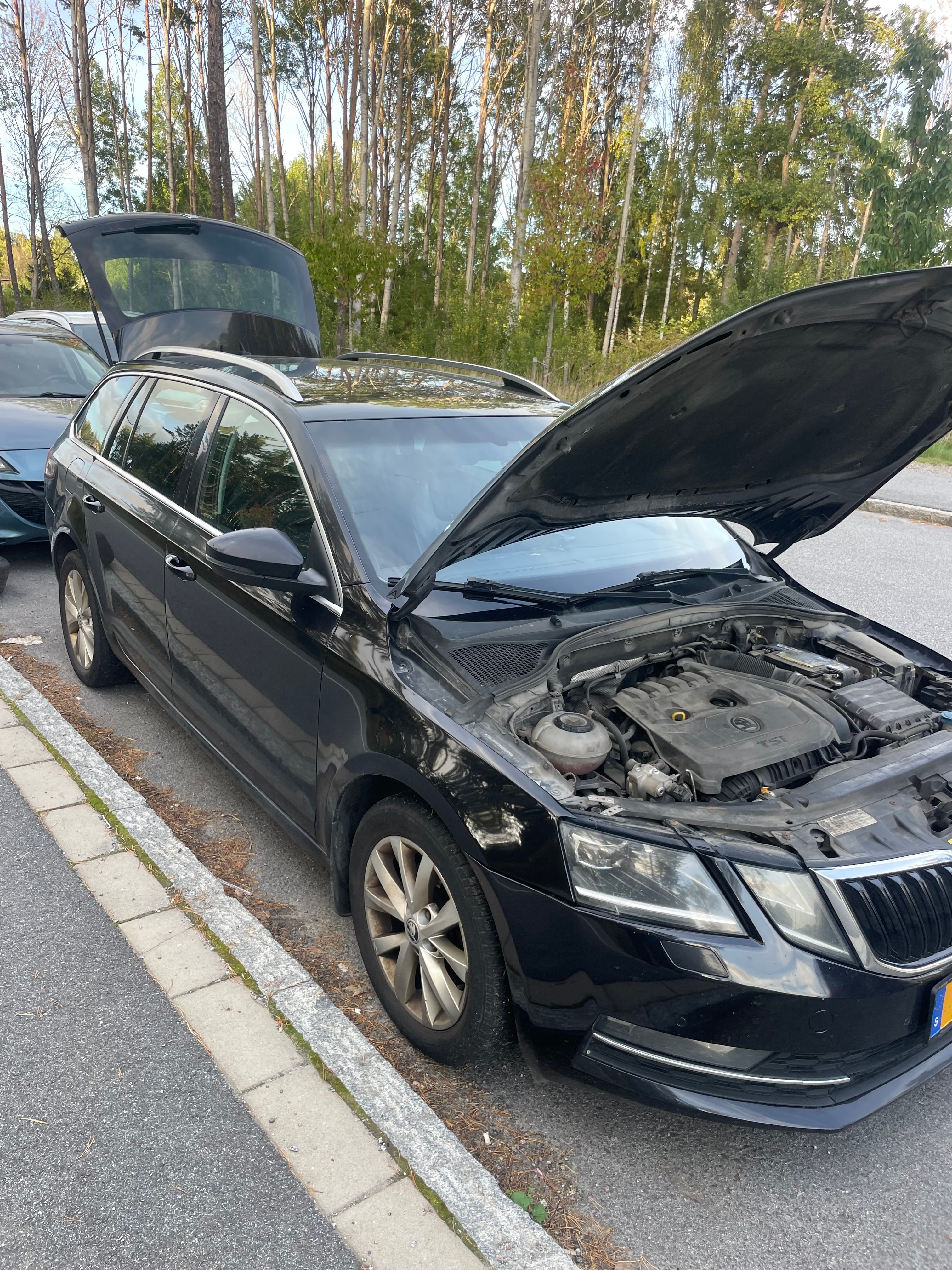 Skoda Octavia 2019, bild 6/9