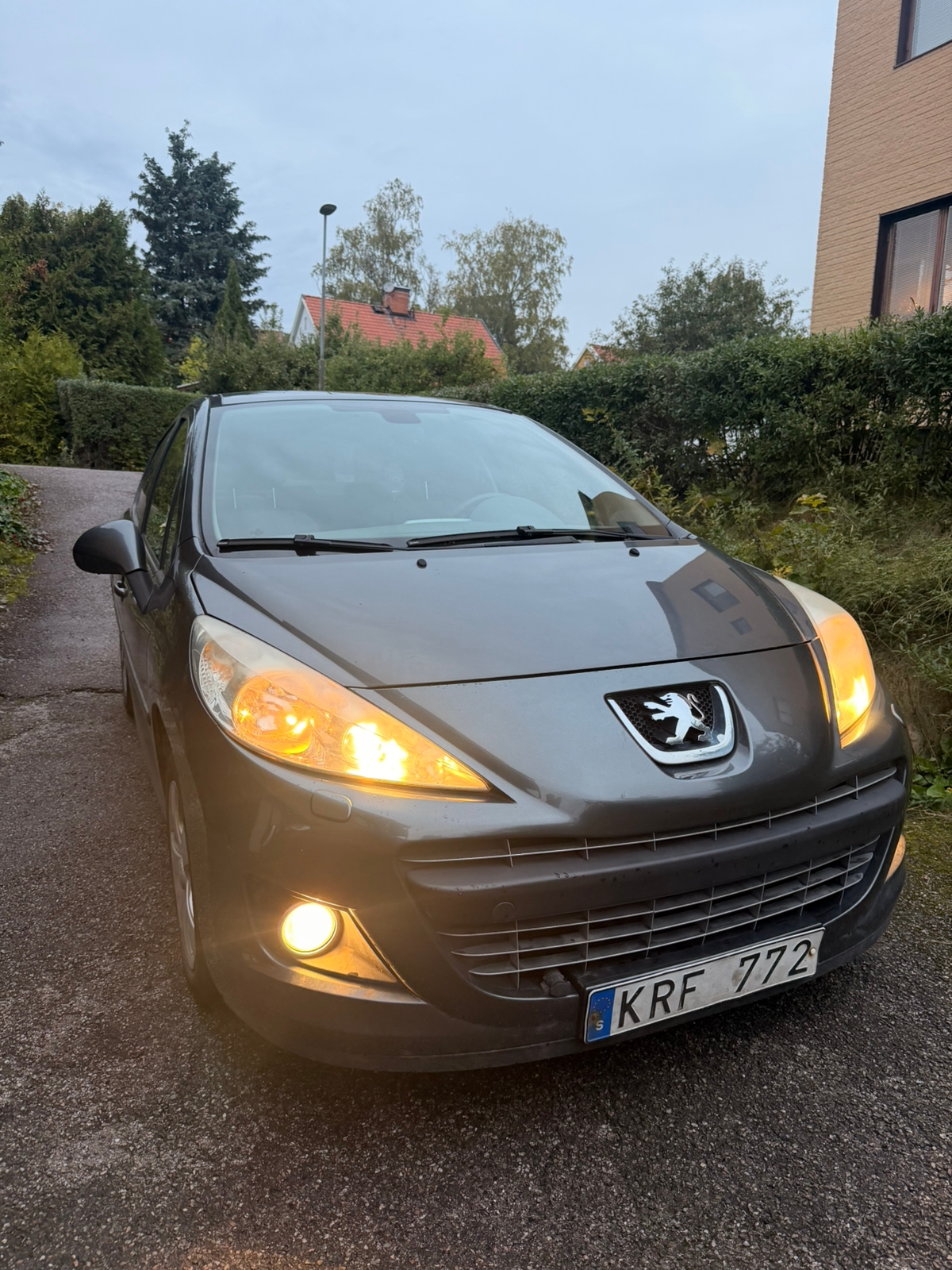 Peugeot 207