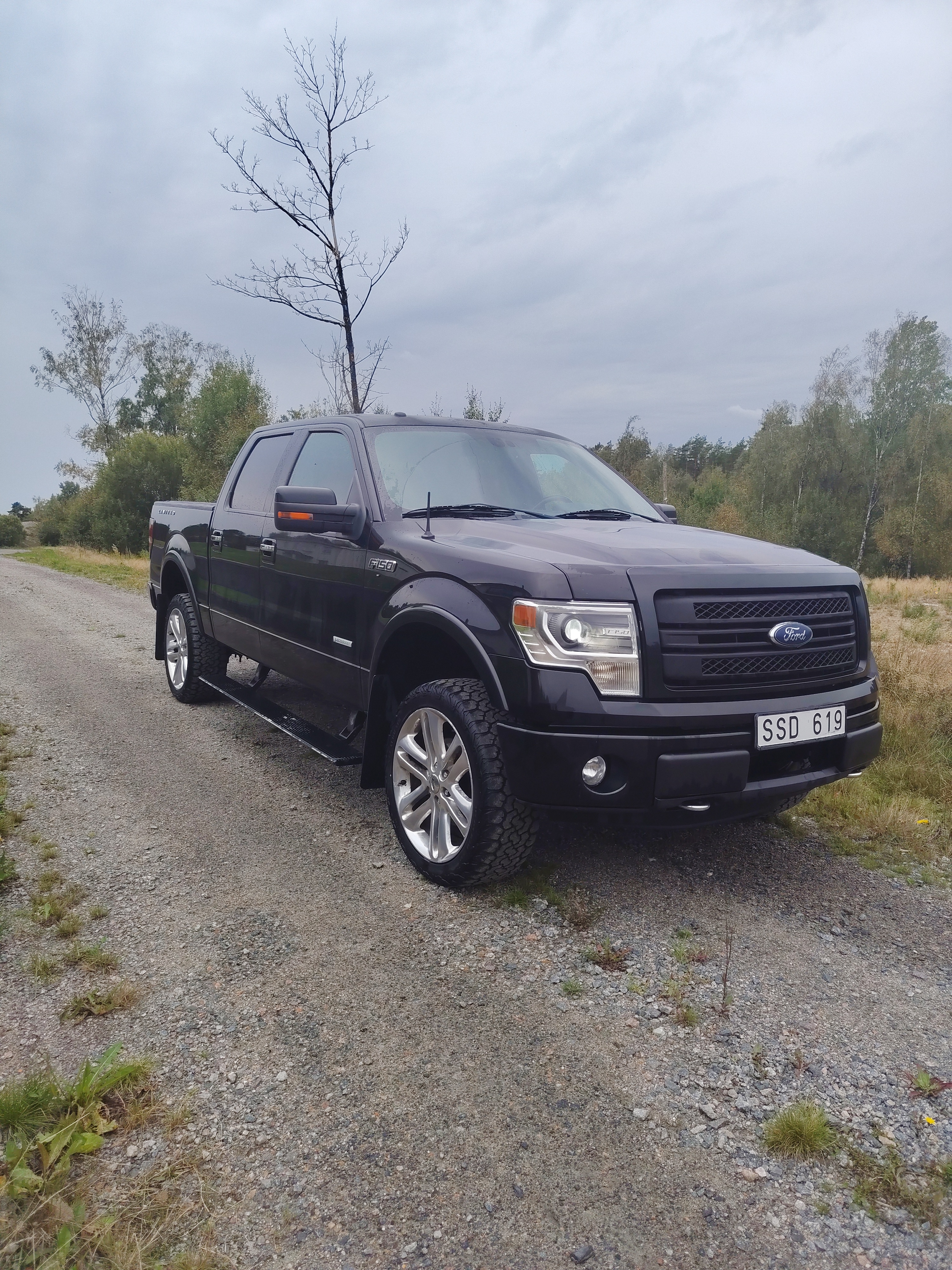 Ford F-150 2013, bild 2/7