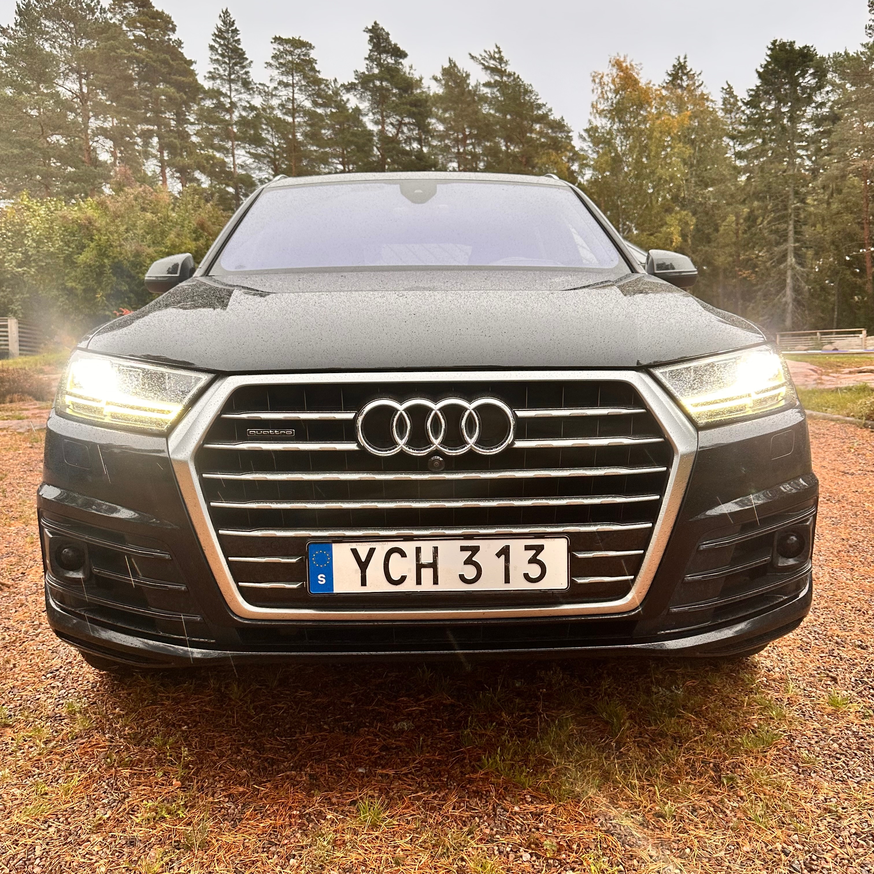 Audi Q7 2016, bild 4/10