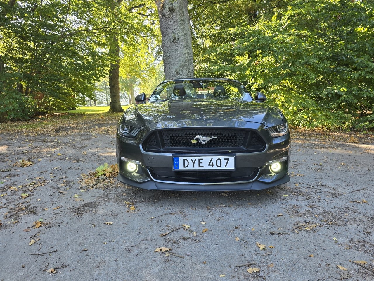 Ford Mustang 2017, bild 7/17