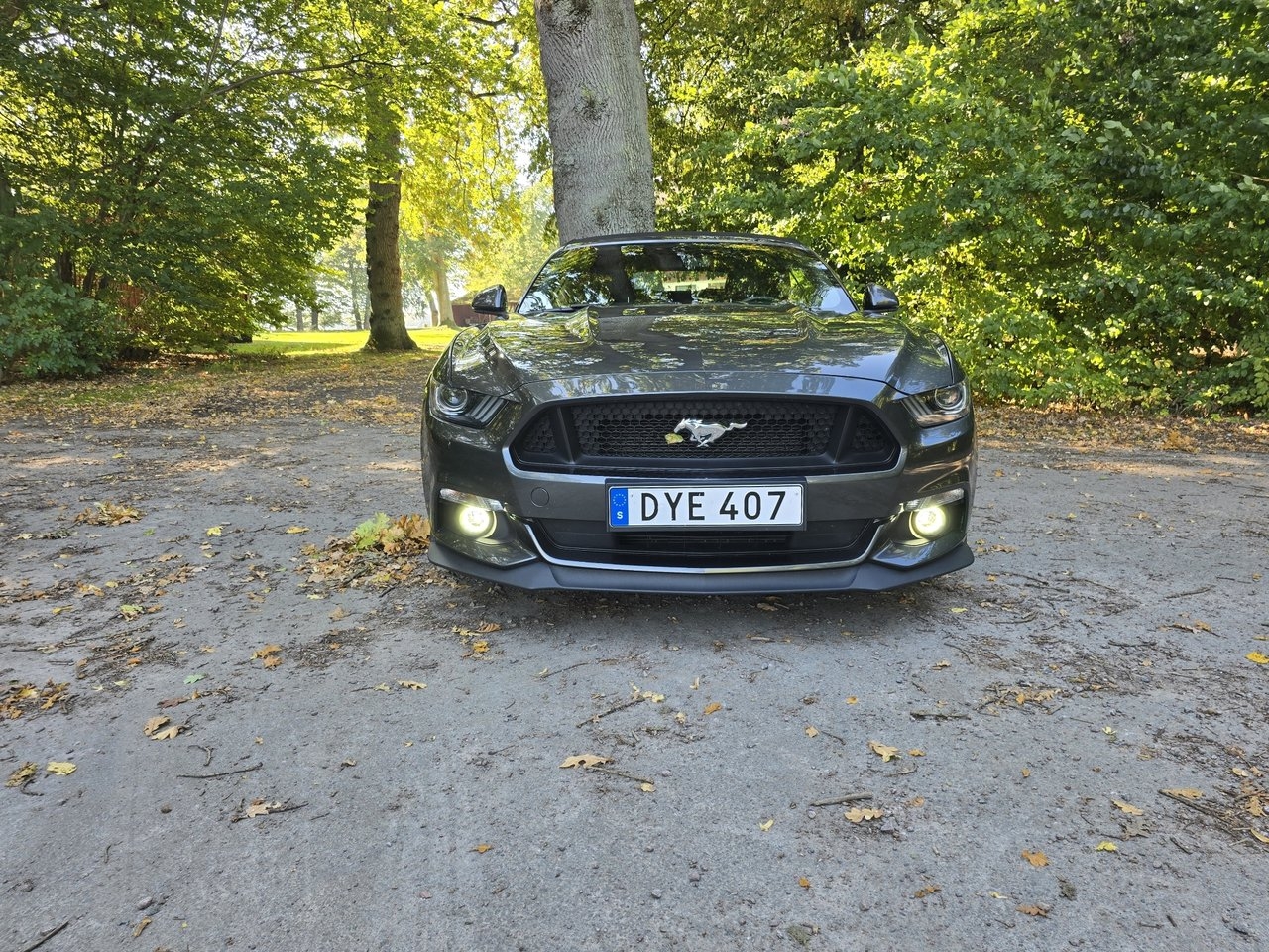 Ford Mustang 2017, bild 2/17