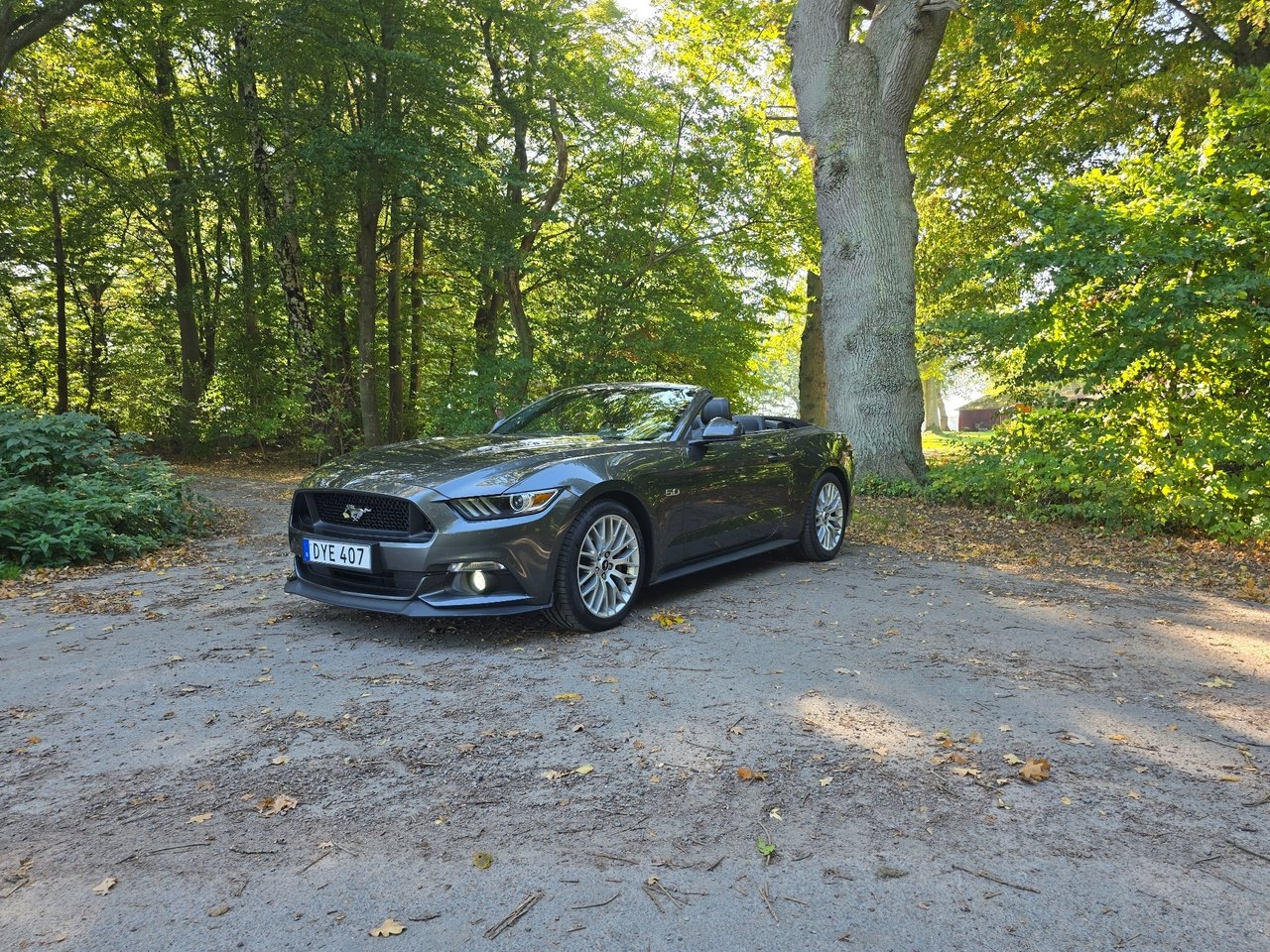 Ford Mustang 2017, bild 6/17