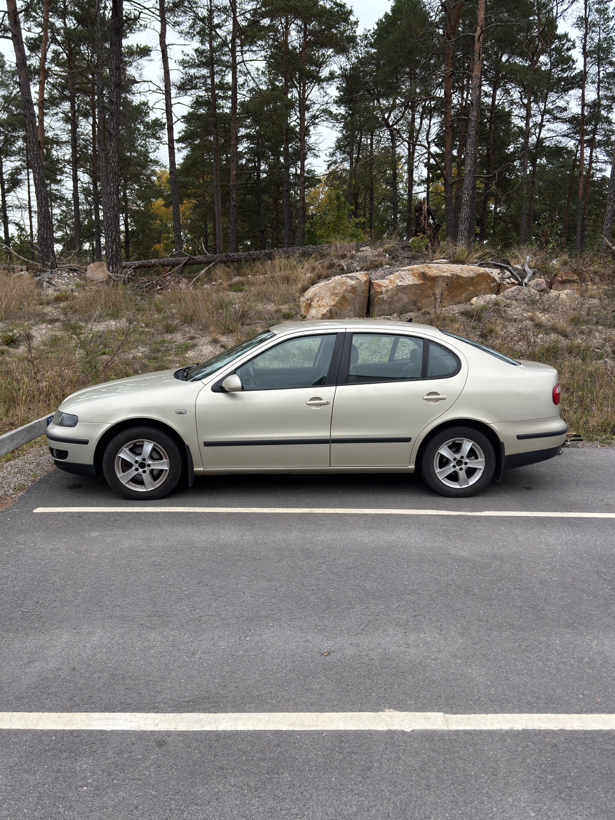 Seat Toledo