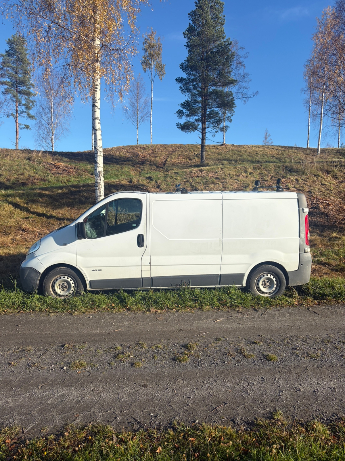 Nissan Primastar 2.9t 2.0 dCi Manuell 2008, bild 2/4