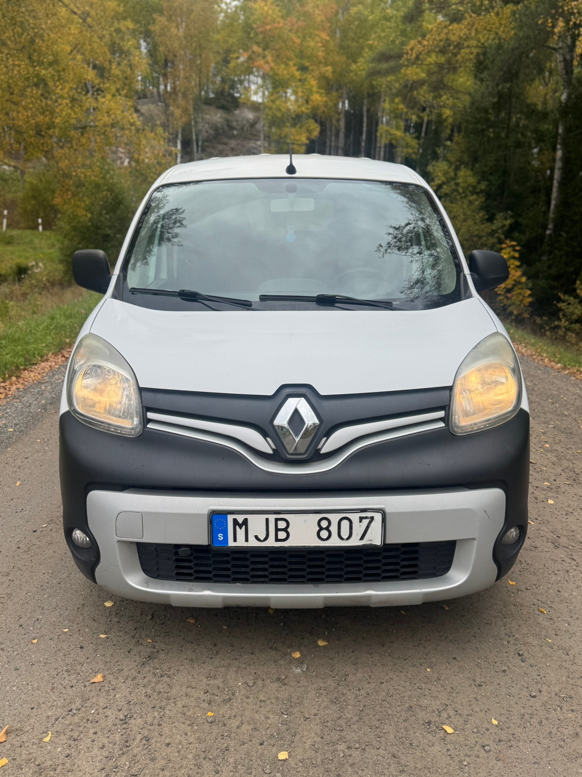 Renault Kangoo Express 1.5 dCi Manuell 2014, bild 2/10