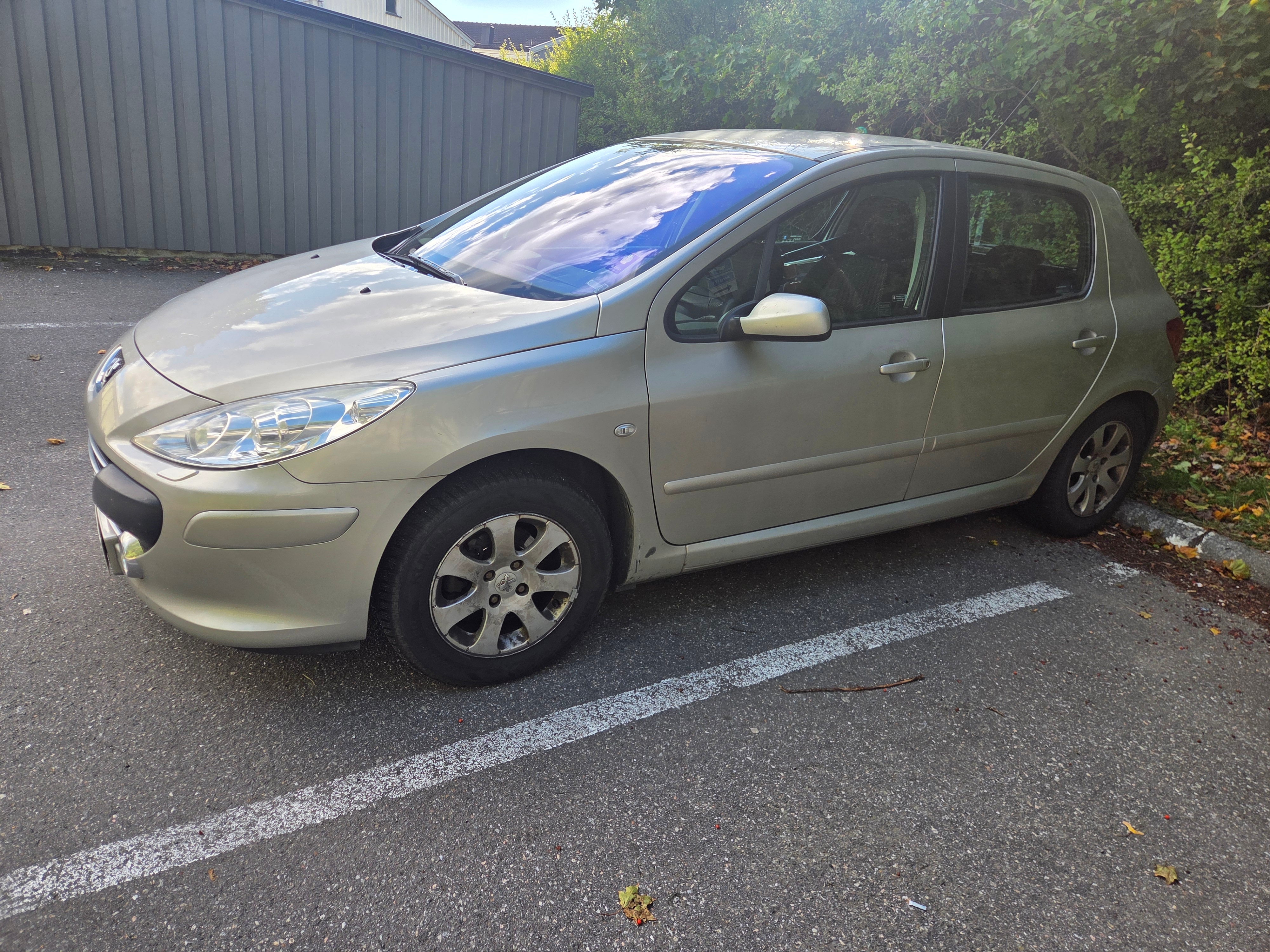 Peugeot 307 5-dörrar 1.6 Manuell 2008, kuva 3/5
