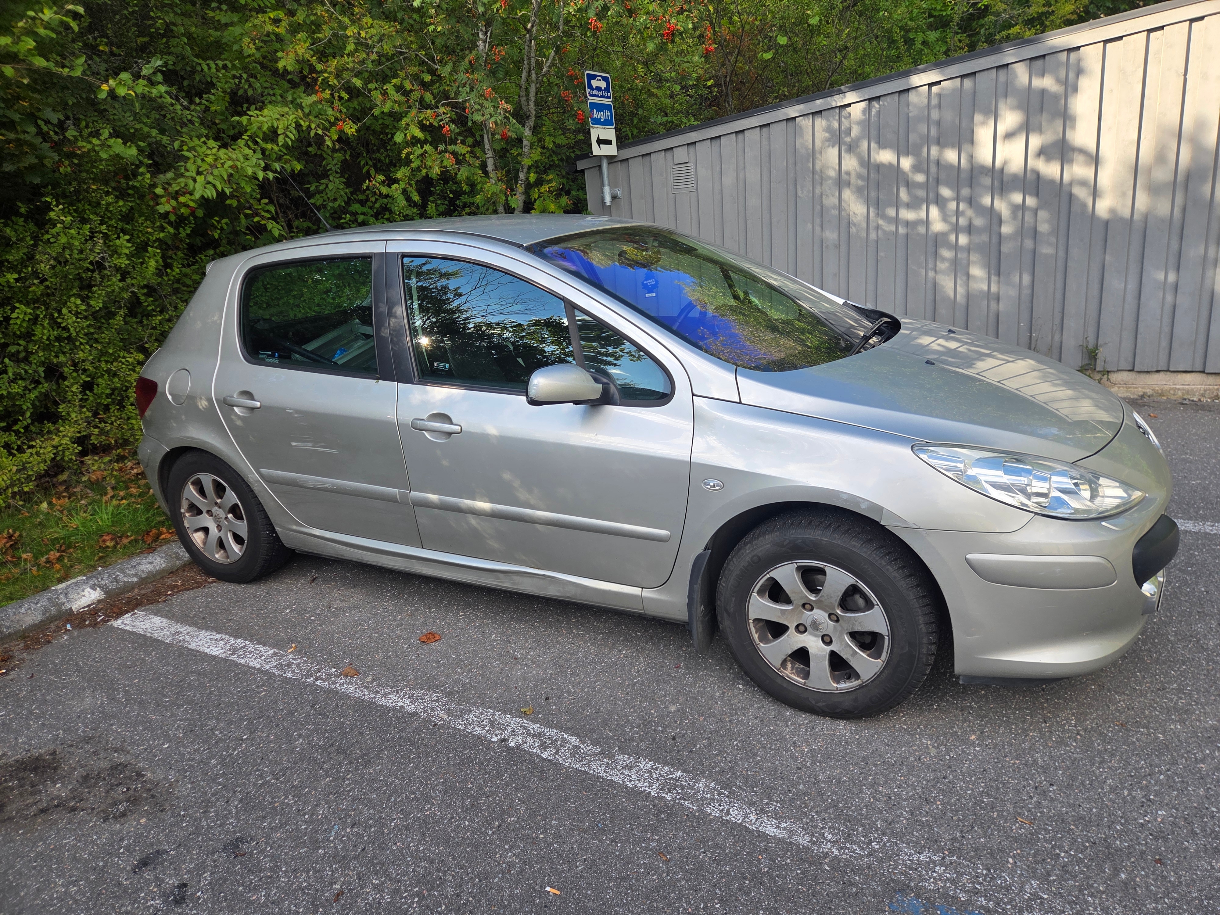 Peugeot 307 5-dörrar 1.6 Manuell 2008, kuva 5/5