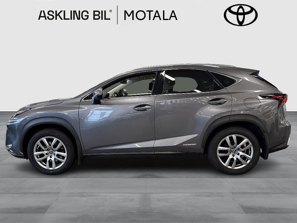 Lexus NX 2018, bild 4/10