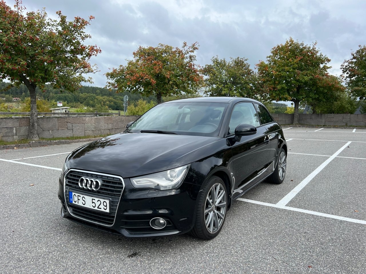 Audi A1 1.4 TFSI AUT Drag 2011, bild 5/10