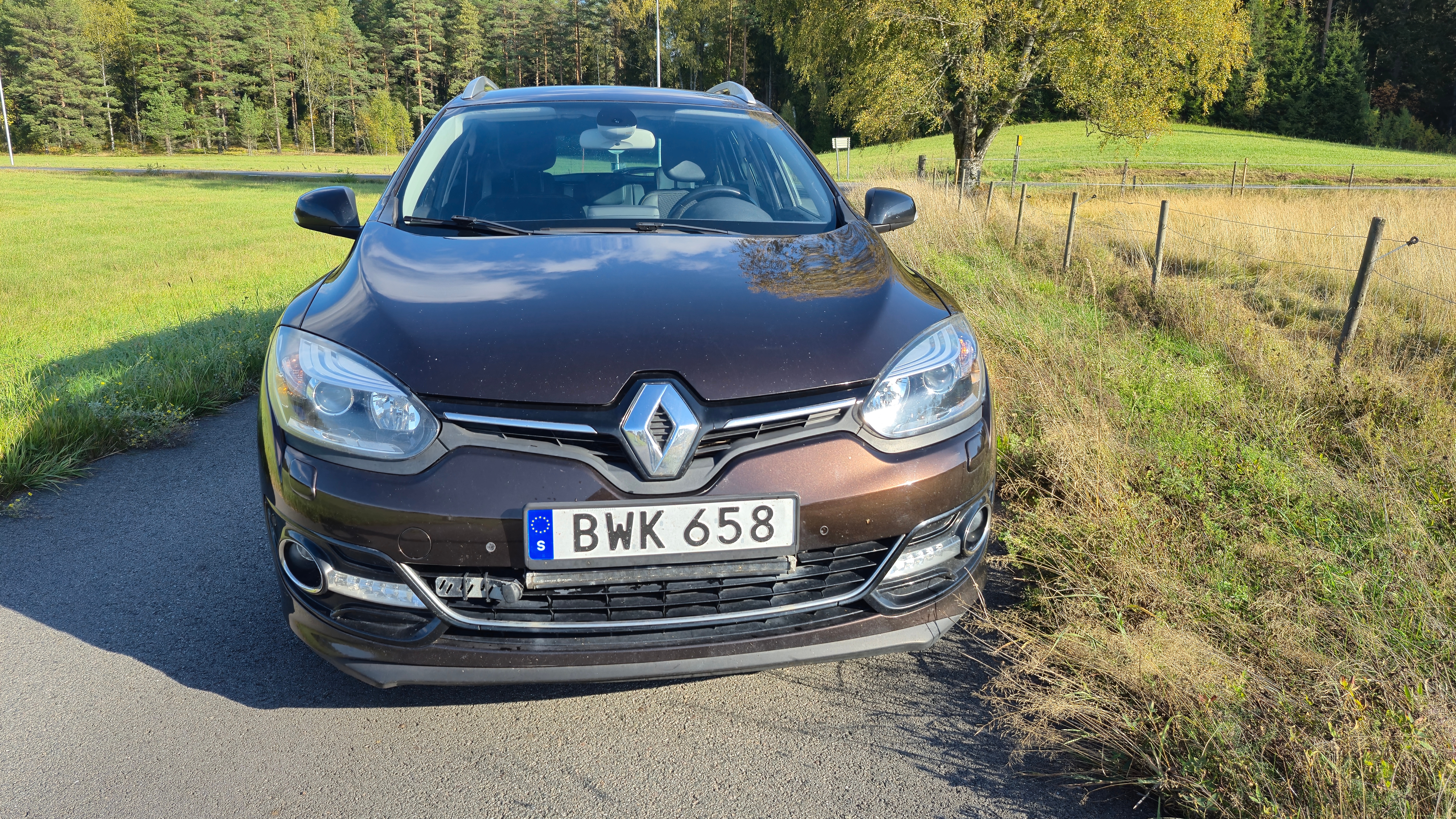 Renault Megane 2014, bild 3/8