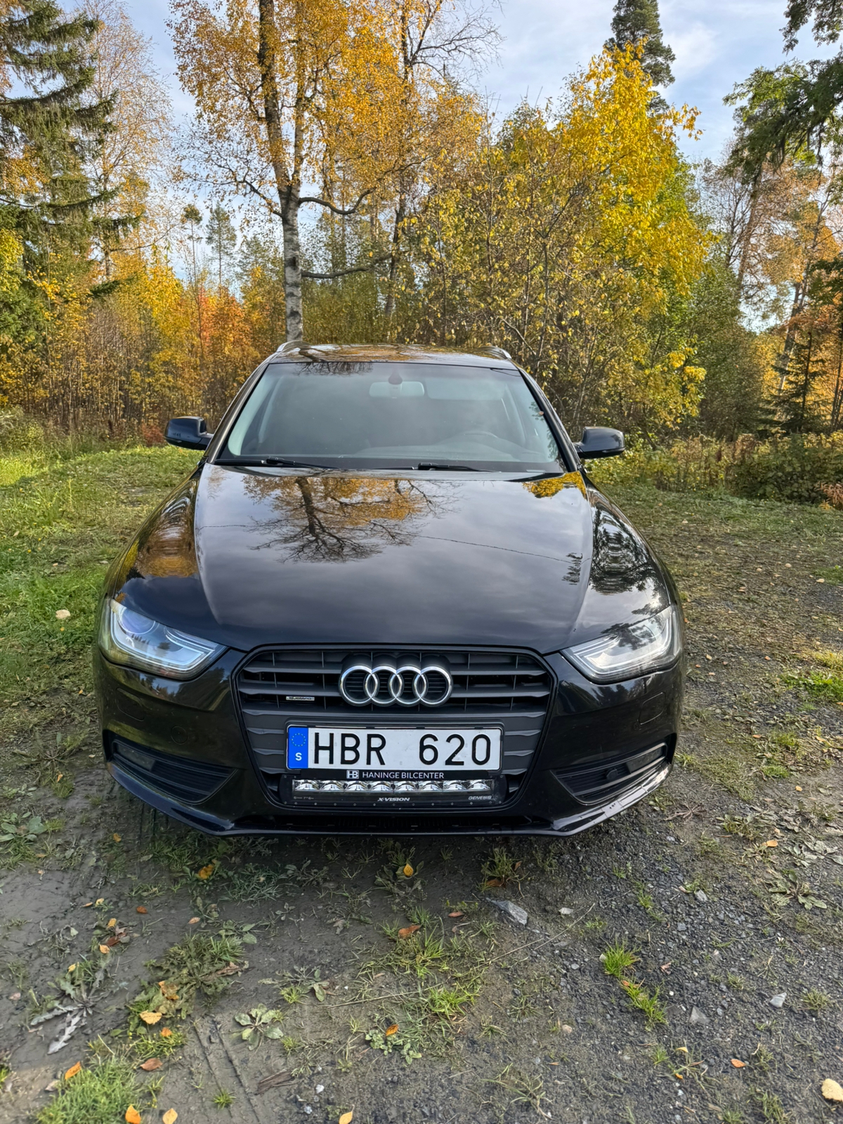 Audi A4 2013, kuva 6/9