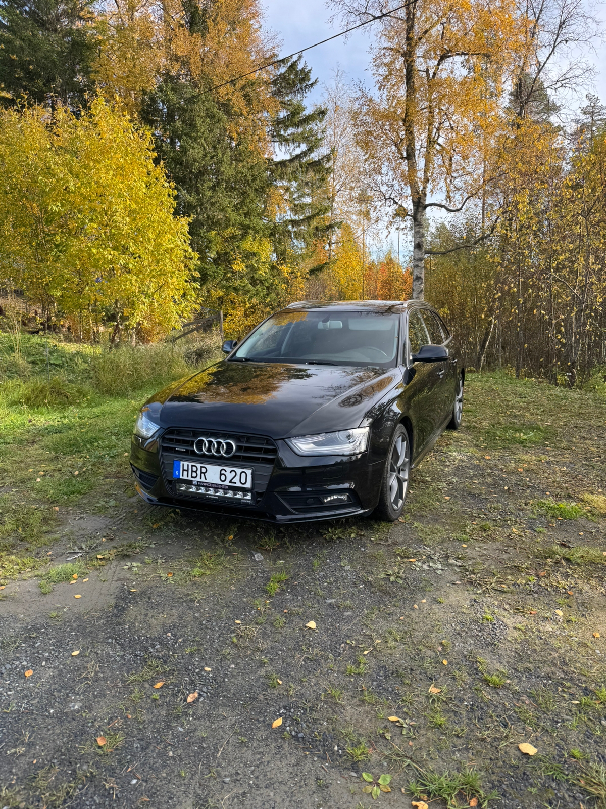 Audi A4 2013, kuva 2/9