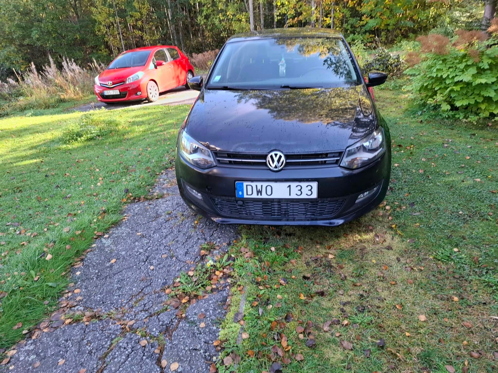 Volkswagen Polo 2011, bild 2/7