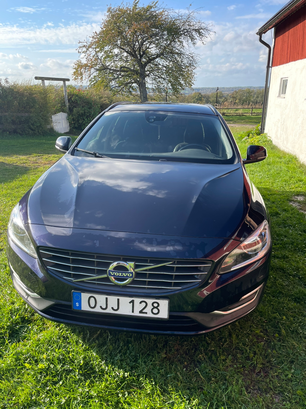 Volvo V60 D5 Twin Engine AWD Geartronic 2017, bild 3/3