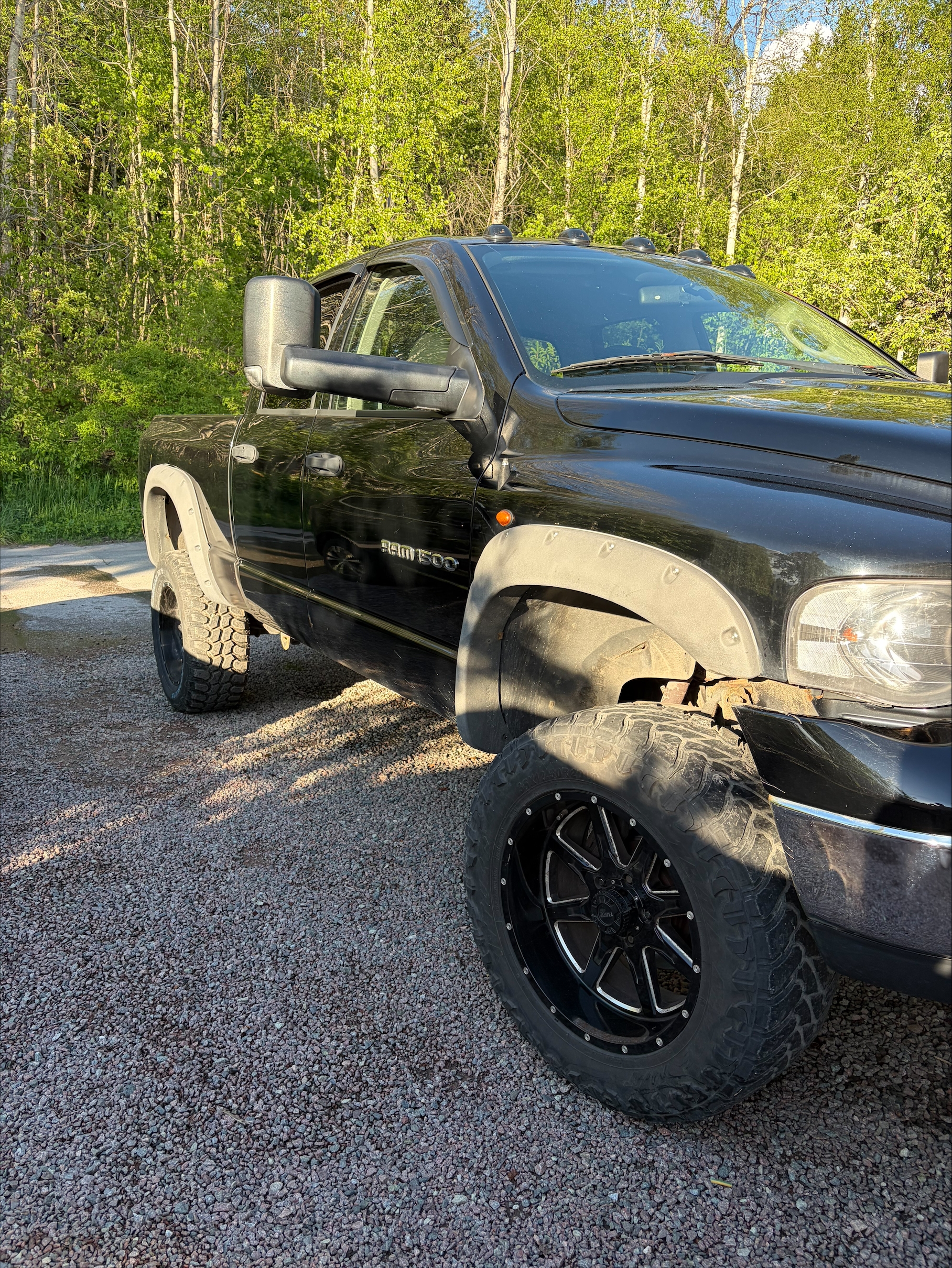 Dodge RAM 1500 Quad Cab 2004, bild 2/8