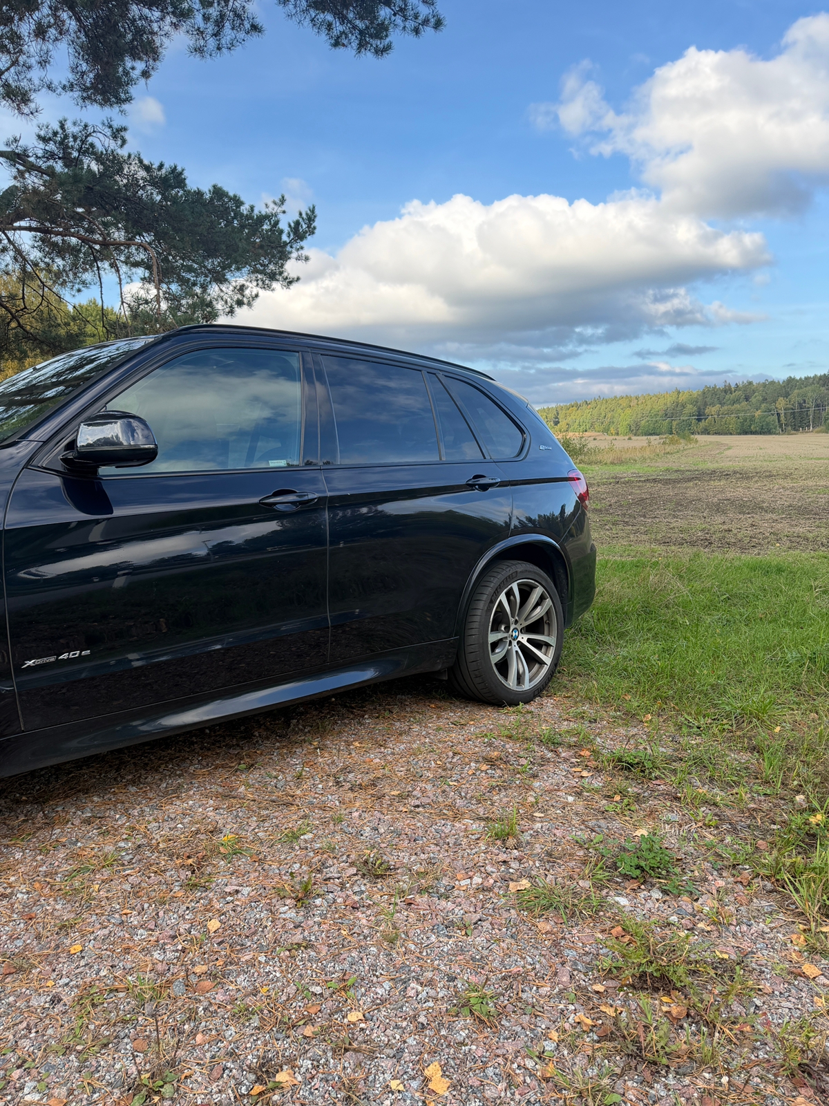 BMW X5 xDrive40e Steptronic 2018, bild 2/10