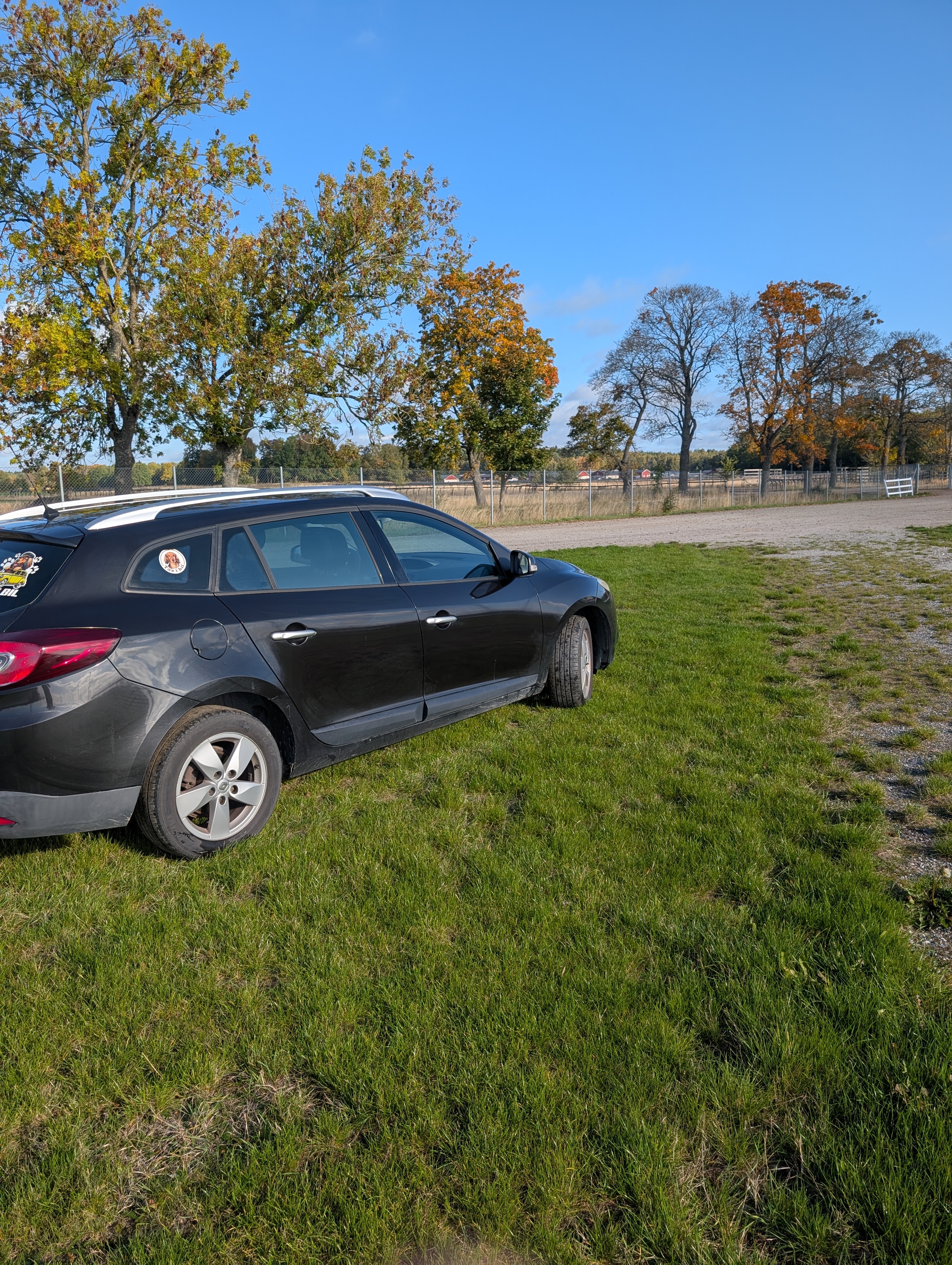 Renault Megane 2010, kuva 4/5