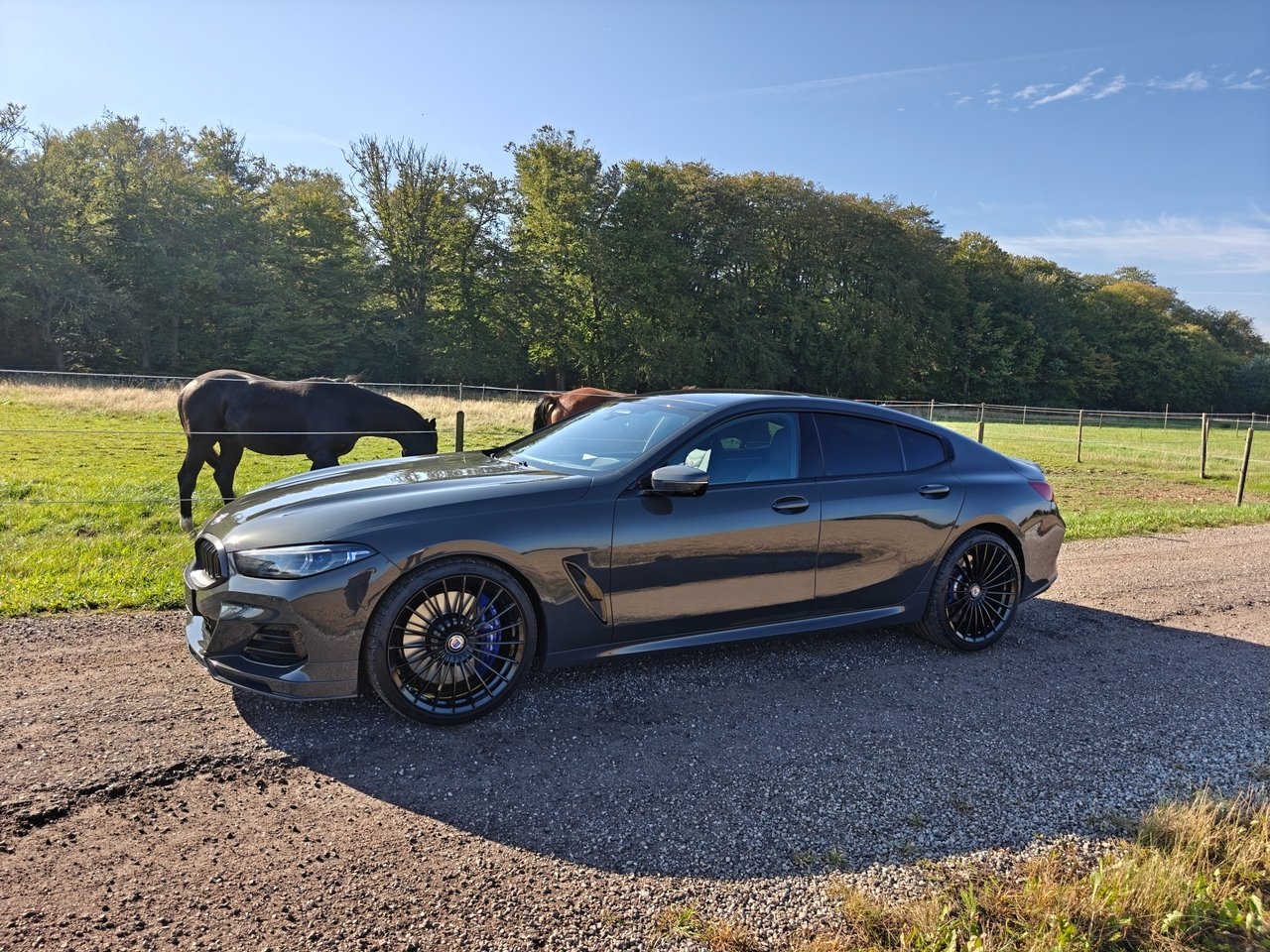 BMW Alpina B8 GRAN COUPE 2023, bild 2/10
