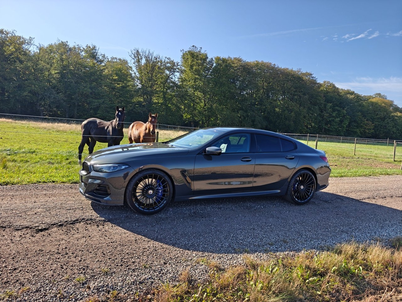 BMW Alpina