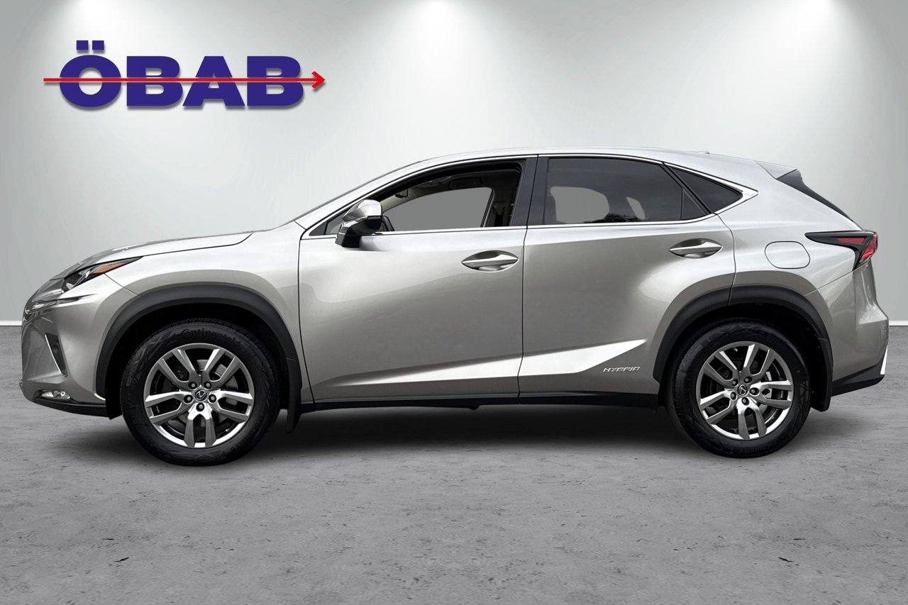 Lexus NX 300h AWD 2.5 E-CVT Executive 2020, photo 4/10