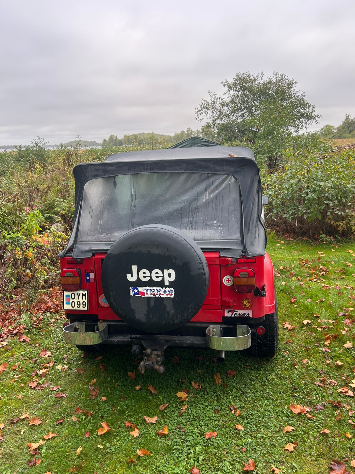 Jeep Wrangler 4.2 4WD Automatisk 1989, bild 2/6