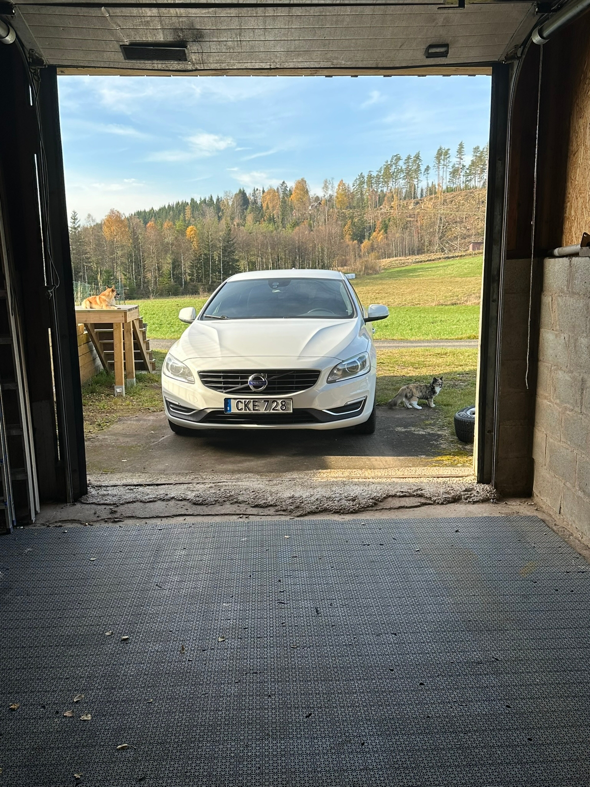 Volvo S60 D4 Geartronic 2015, bild 3/10
