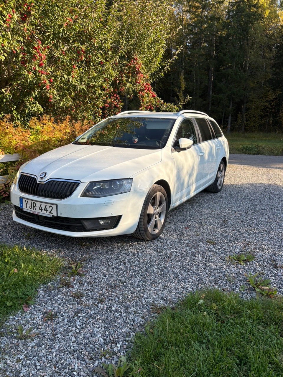 Skoda Octavia 2017, bild 3/3