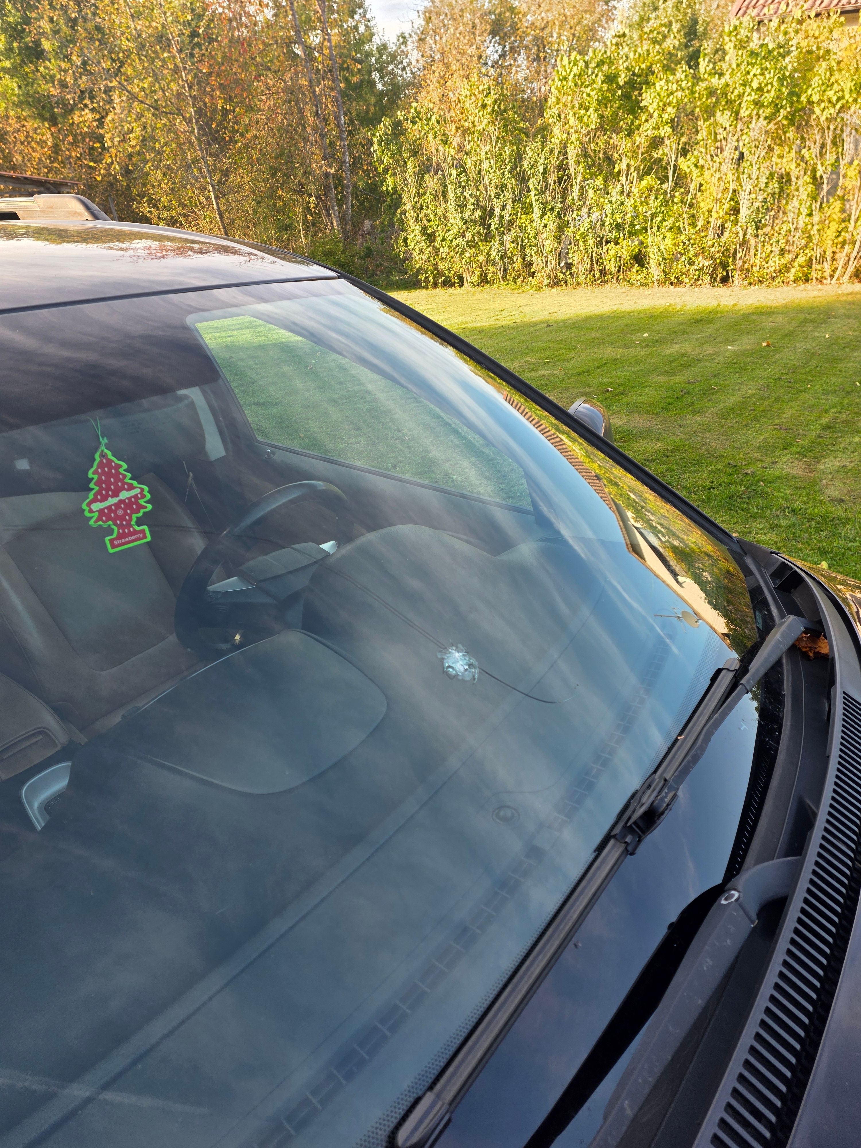 Fiat Freemont 2014, bild 6/7
