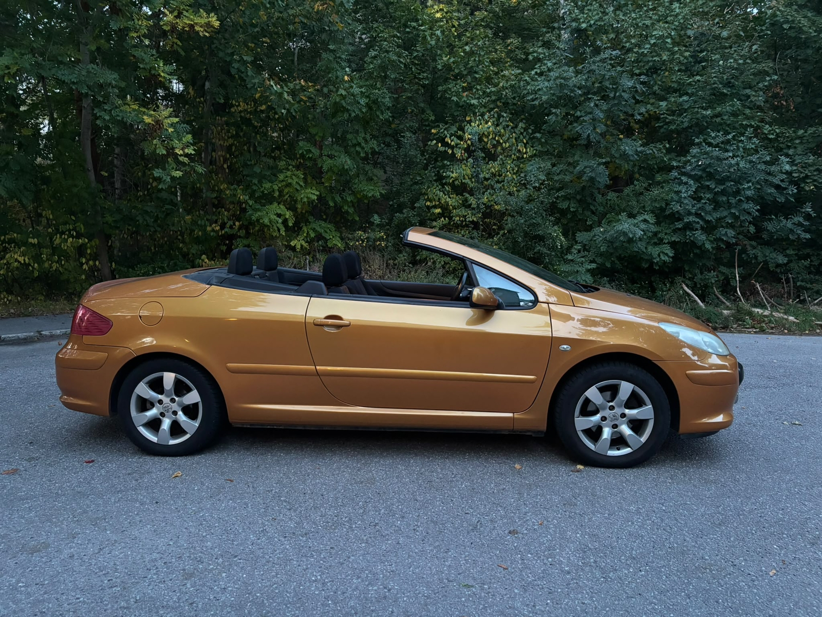 Peugeot 307 2006, bild 6/10