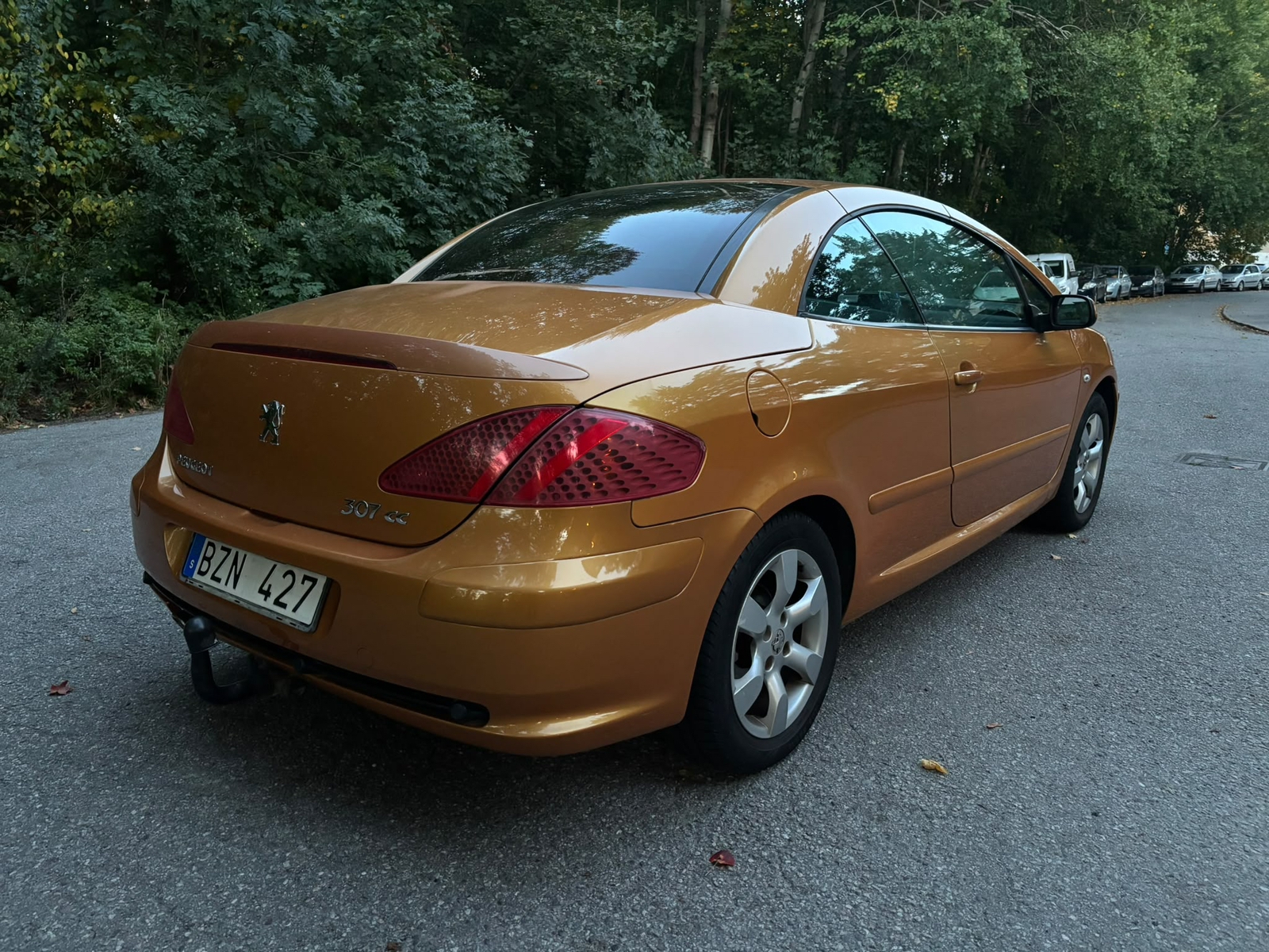 Peugeot 307 2006, bild 5/10