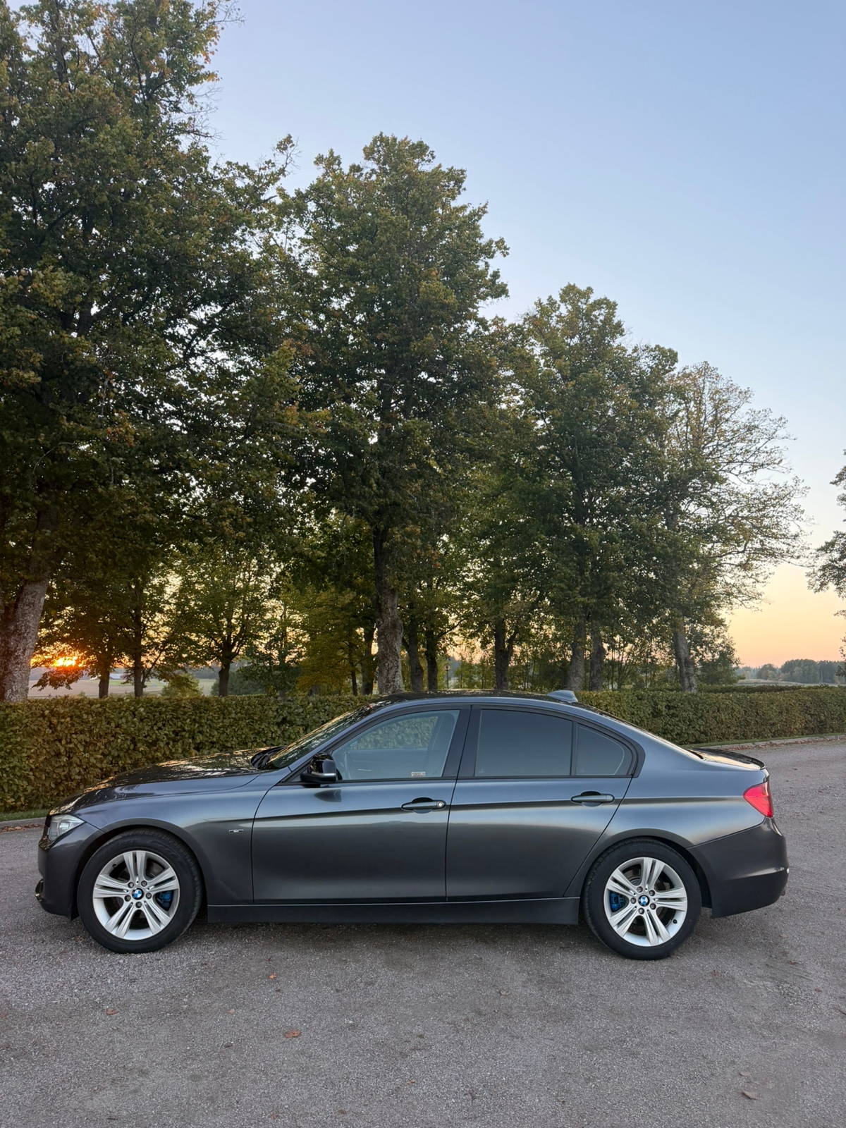 BMW 320 d Sedan Steptronic 2013, bild 4/9
