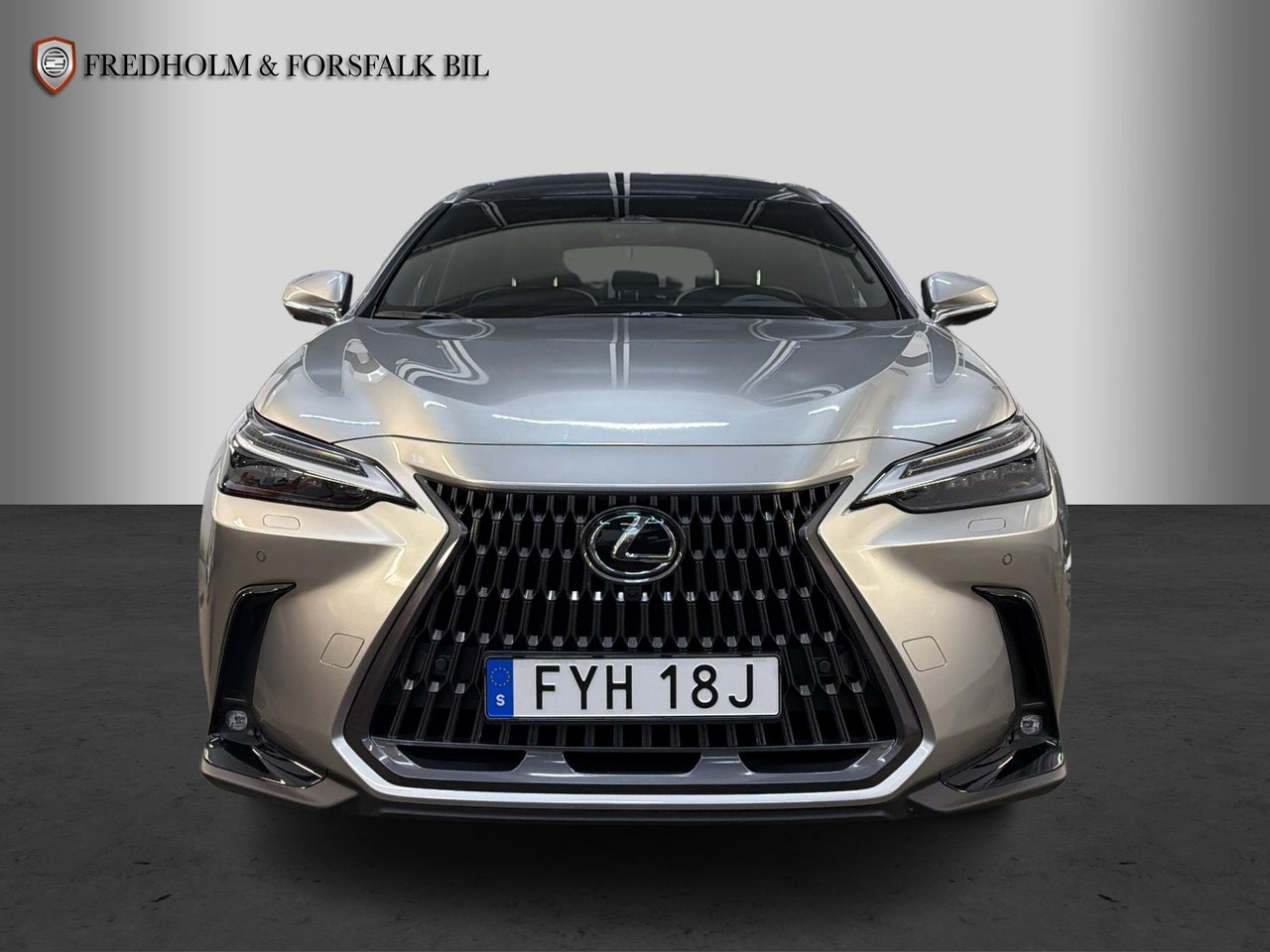 Lexus NX 350h AWD Executive Teknik Pano 2023, bild 7/10