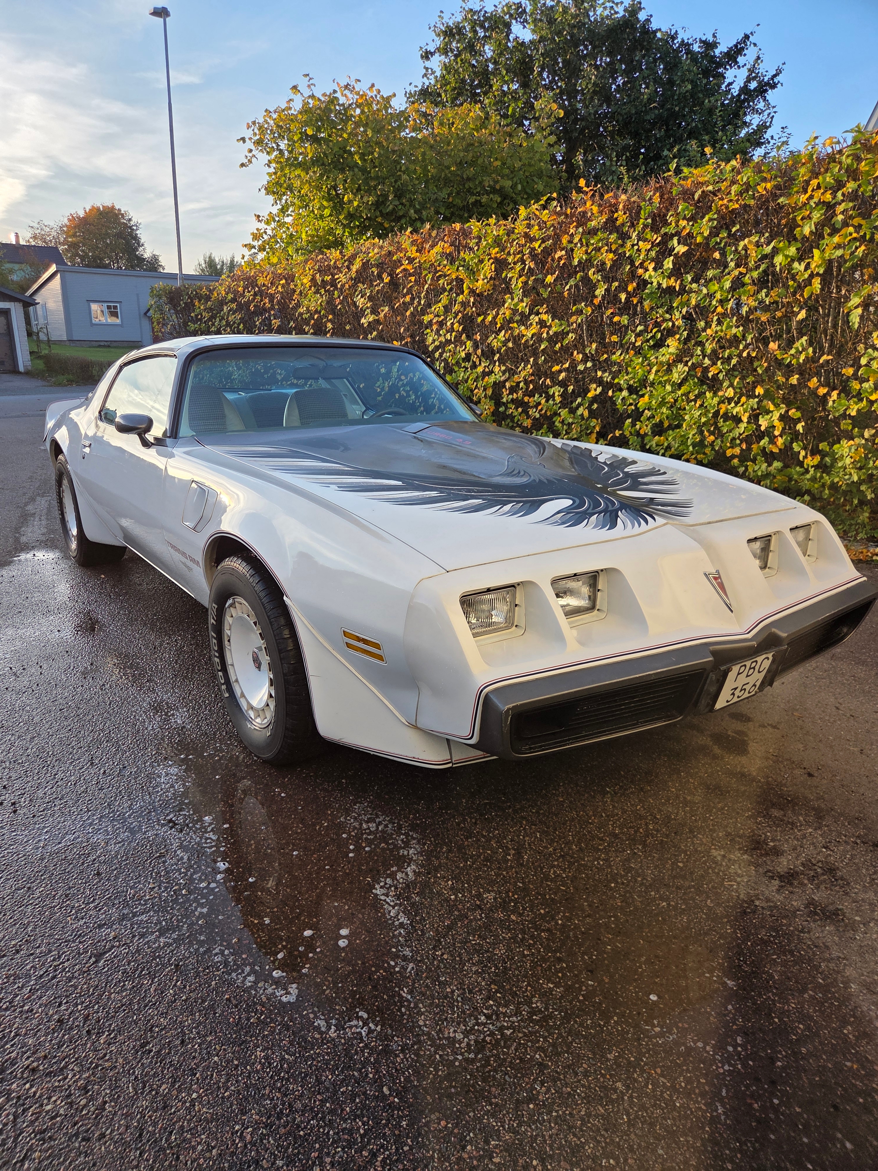 Pontiac Trans Am