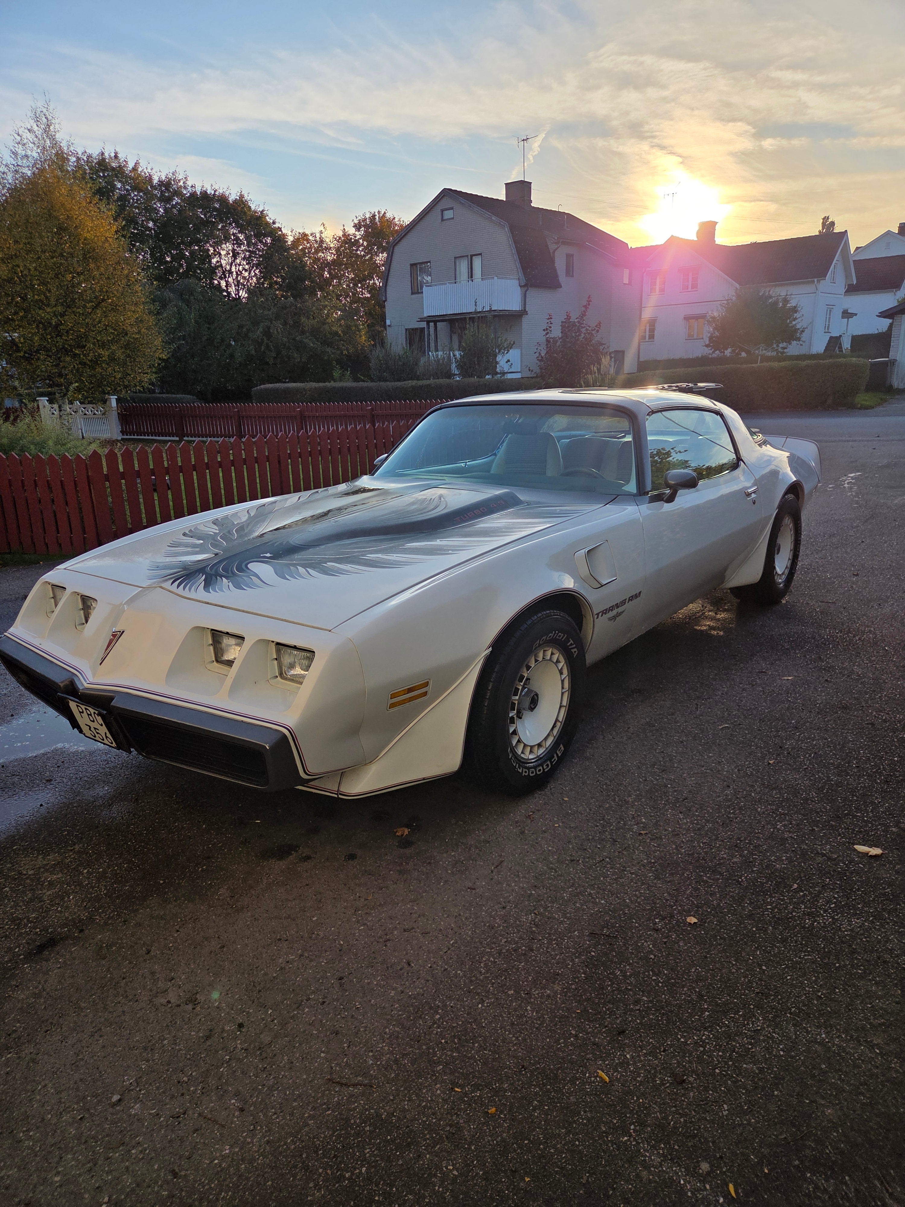 Pontiac Trans Am 1980, bild 2/6