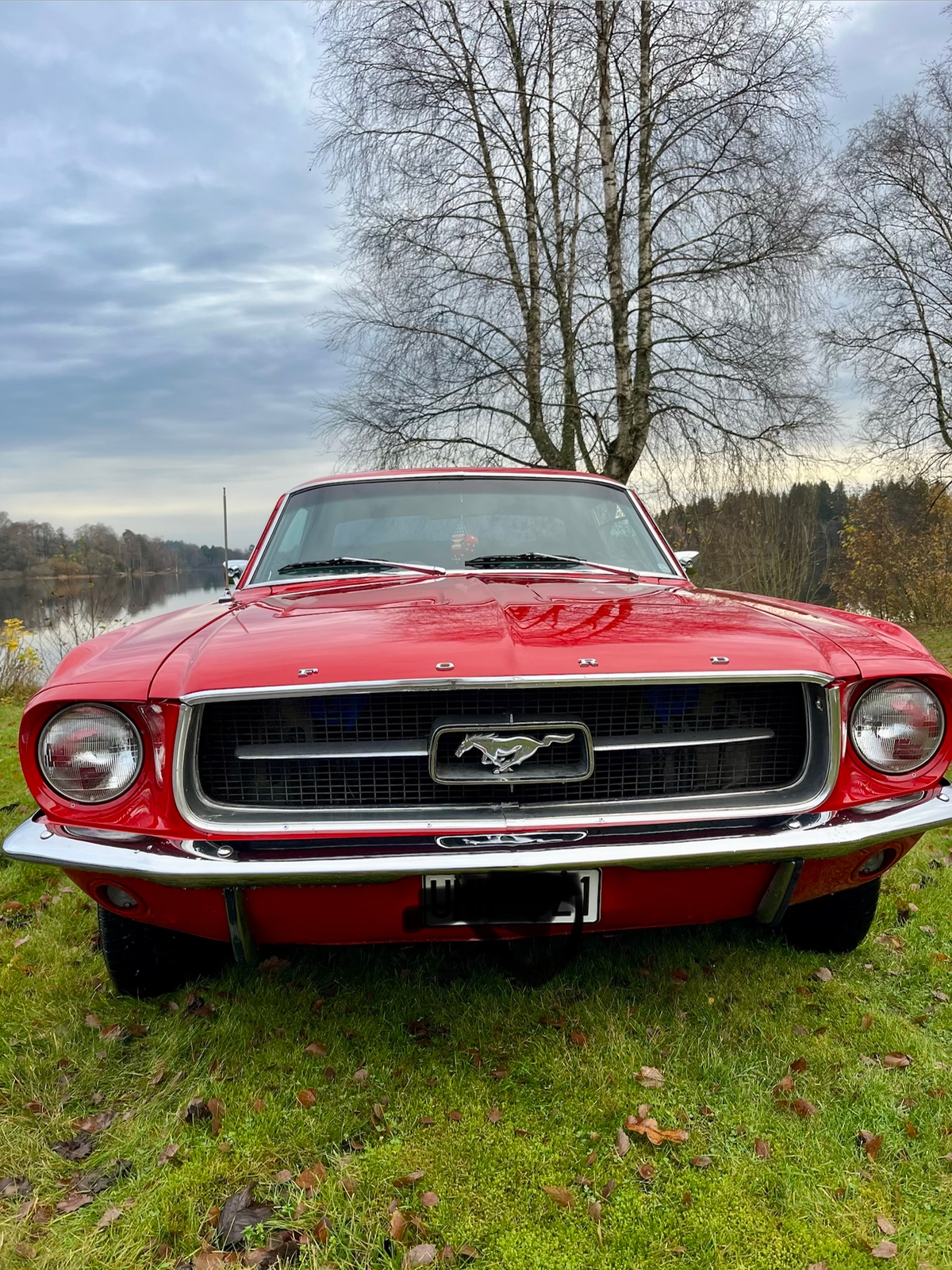 Ford Mustang Hardtop 4.7 V8 SelectShift 1967, bild 4/5