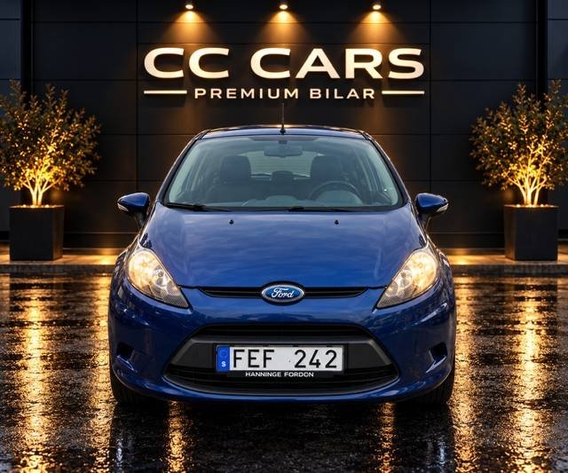 Ford Fiesta 2010, bild 2/10