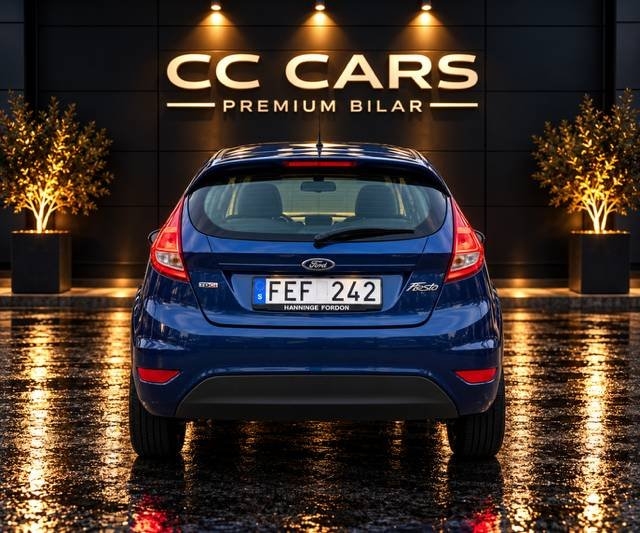 Ford Fiesta 2010, bild 5/10