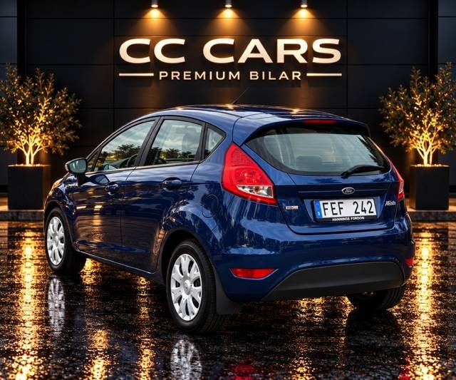 Ford Fiesta 2010, bild 6/10