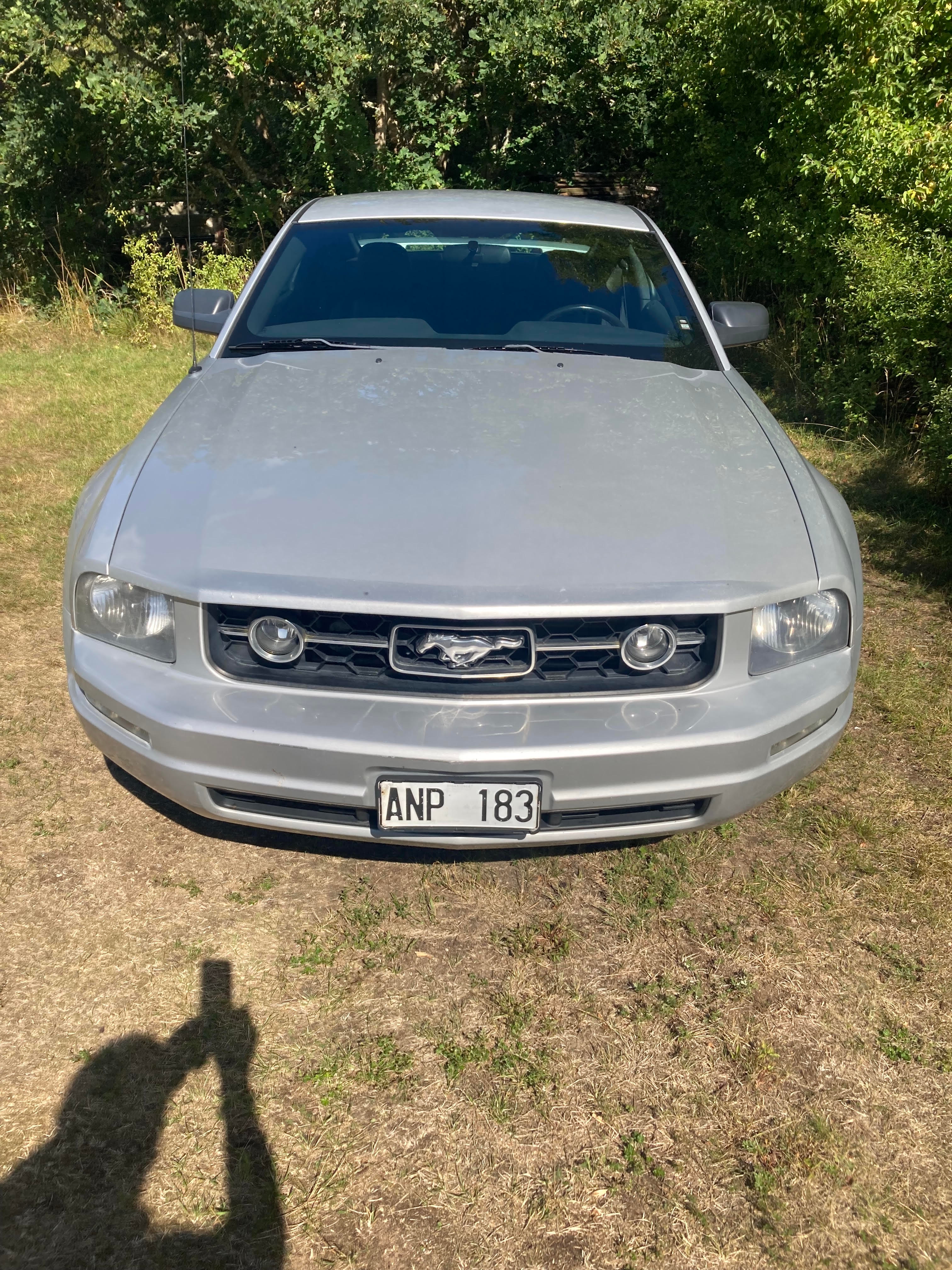 Ford Mustang 2006, photo 7/7